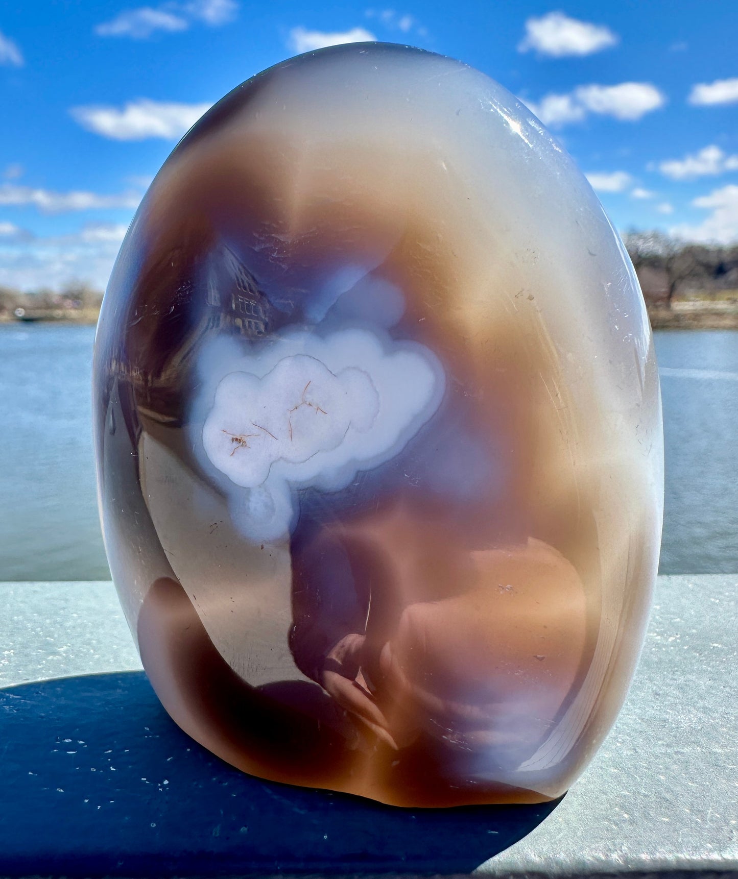 Stunning Orca Agate Freeform