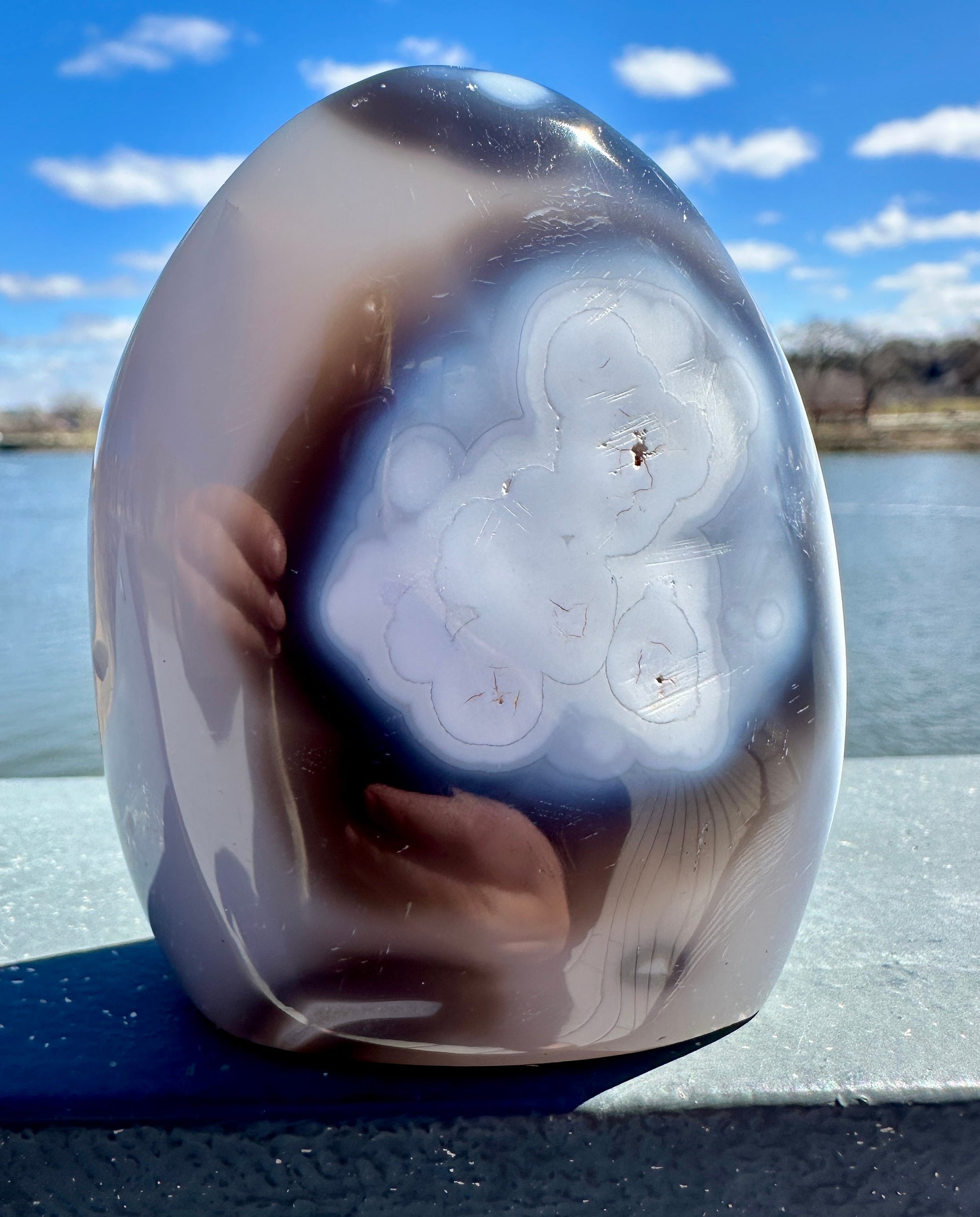 Stunning Orca Agate Freeform