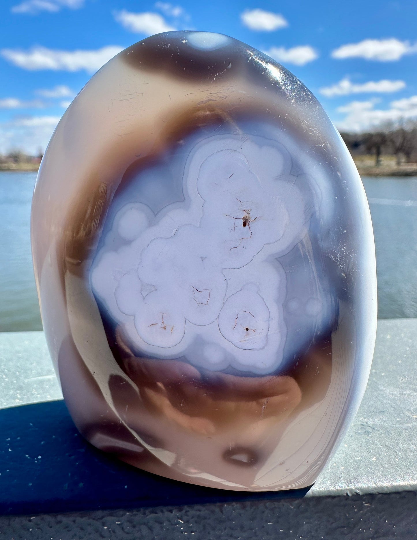 Stunning Orca Agate Freeform