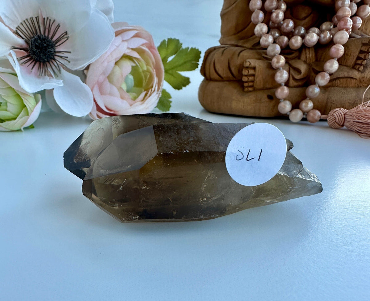Special Raw Twin Smoky Lemurian Points | Rare Lemurian | Lemurian Point | Authentic Lemurian