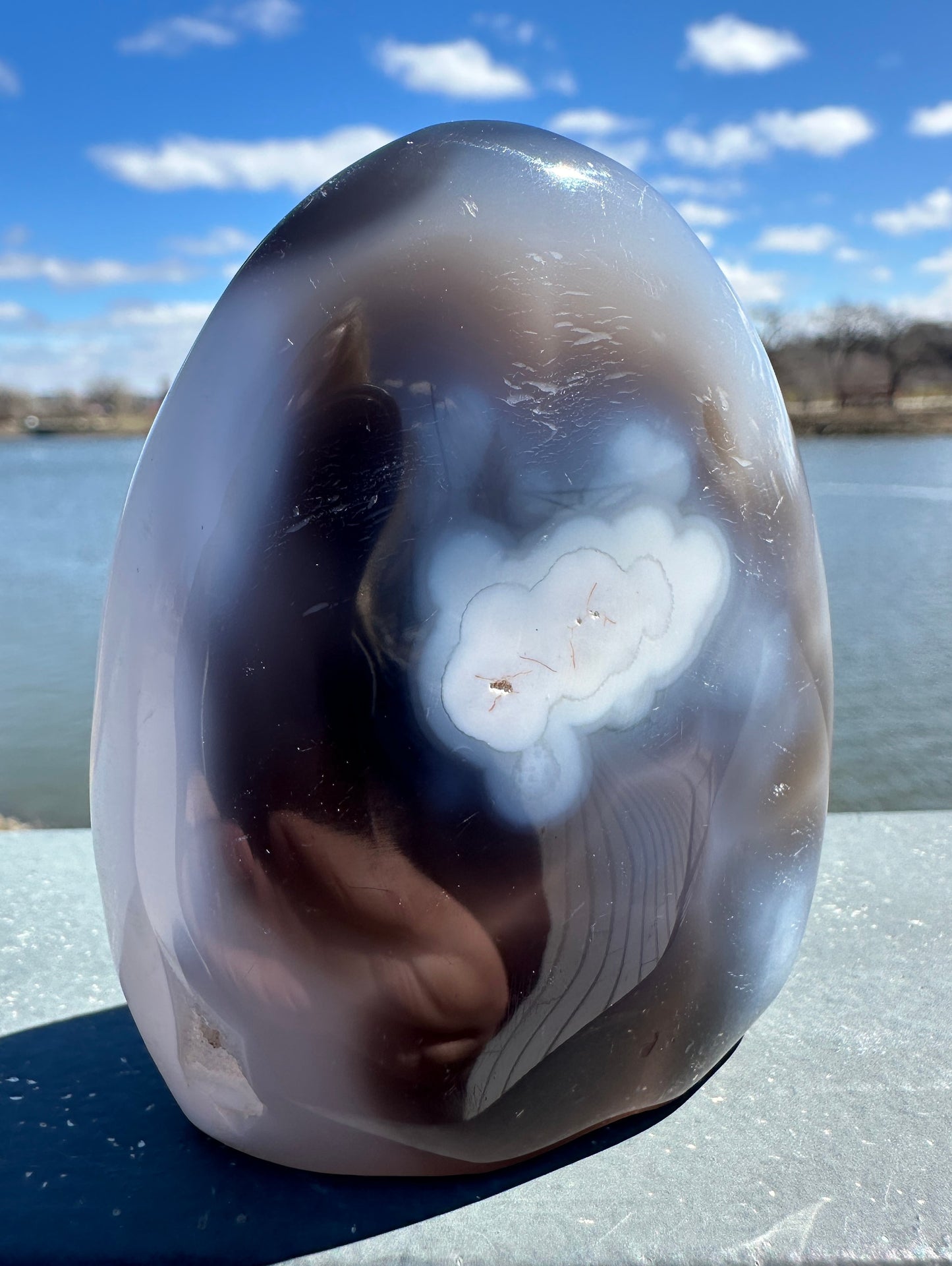 Stunning Orca Agate Freeform