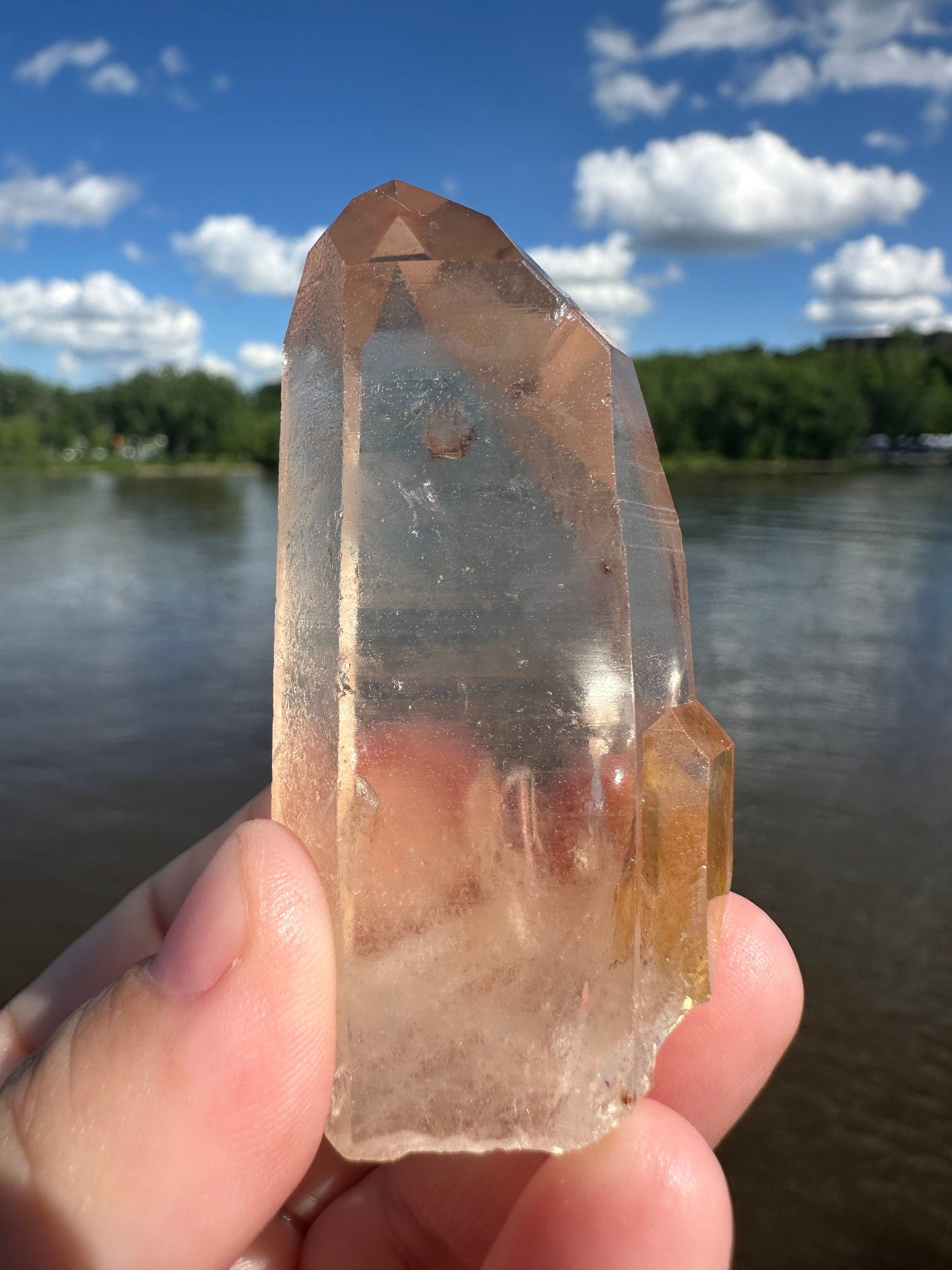 Stunning Rare Raw Golden Healer Lemurian Point