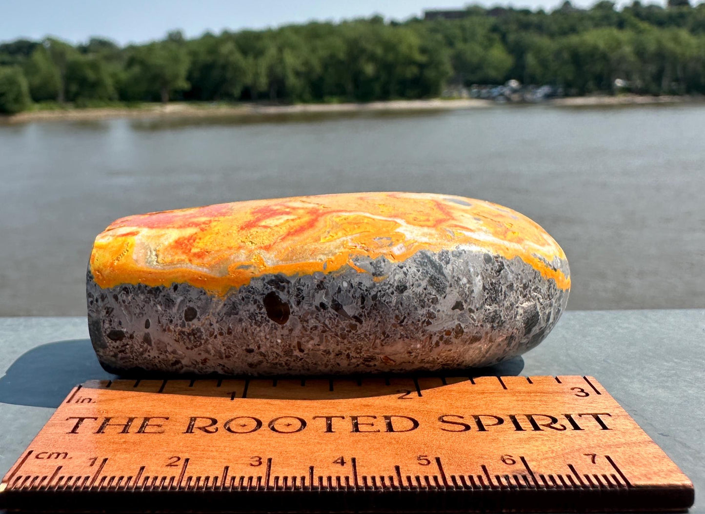 Vibrant Bumble Bee Jasper Freeform | Polished Crystal Specimen | Sacred Chakra | Bumble Bee Jasper | Happiness | Creativity