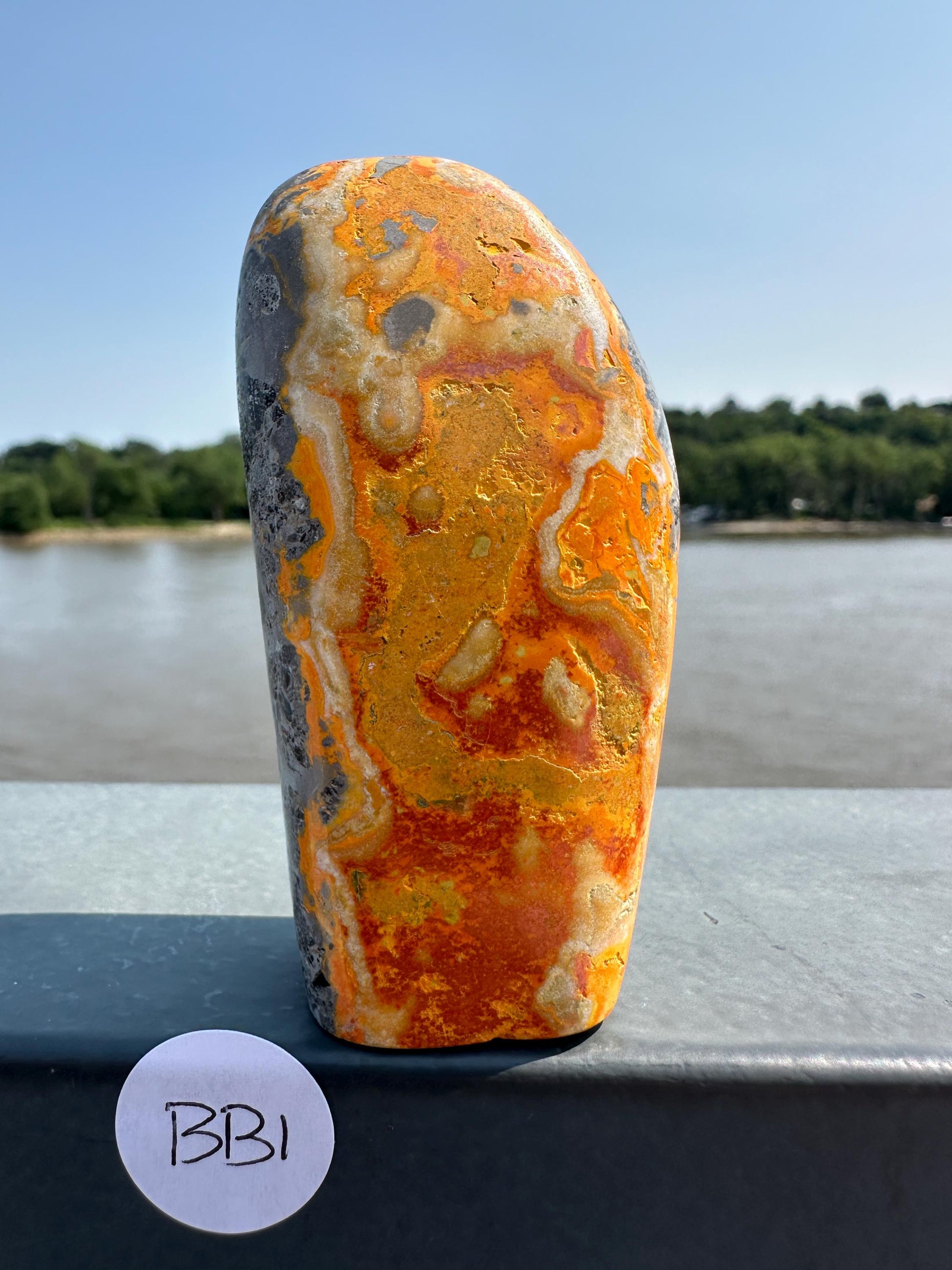 Vibrant Bumble Bee Jasper Freeform | Polished Crystal Specimen | Sacred Chakra | Bumble Bee Jasper | Happiness | Creativity