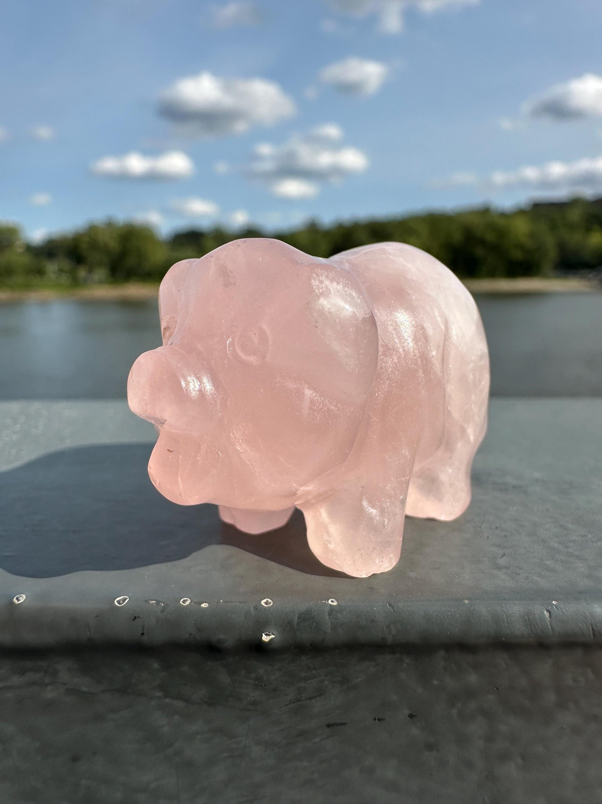 Cute Rose Quartz Small Pig Carving | Healing Crystal | Heart Chakra
