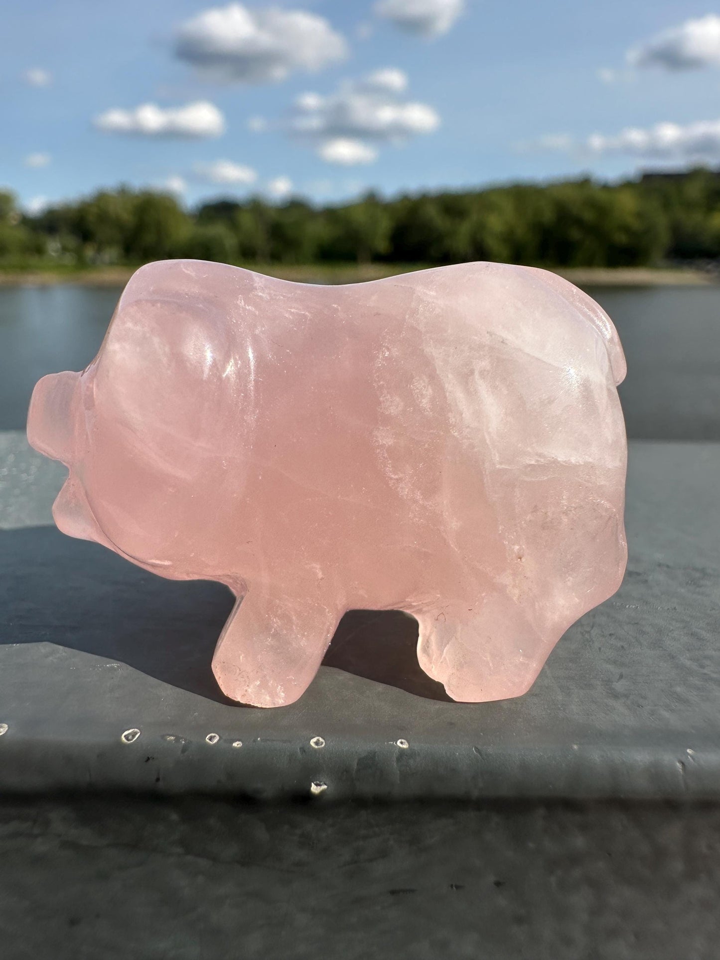 Cute Rose Quartz Small Pig Carving | Healing Crystal | Heart Chakra