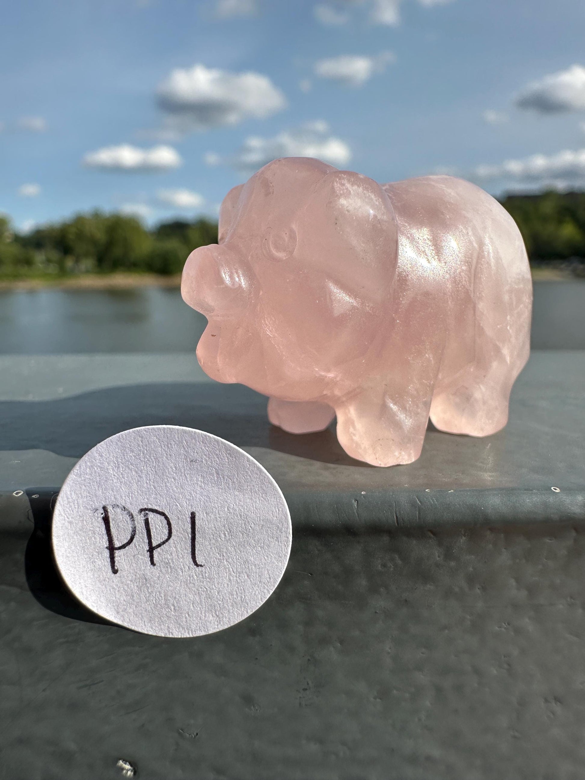 Cute Rose Quartz Small Pig Carving | Healing Crystal | Heart Chakra