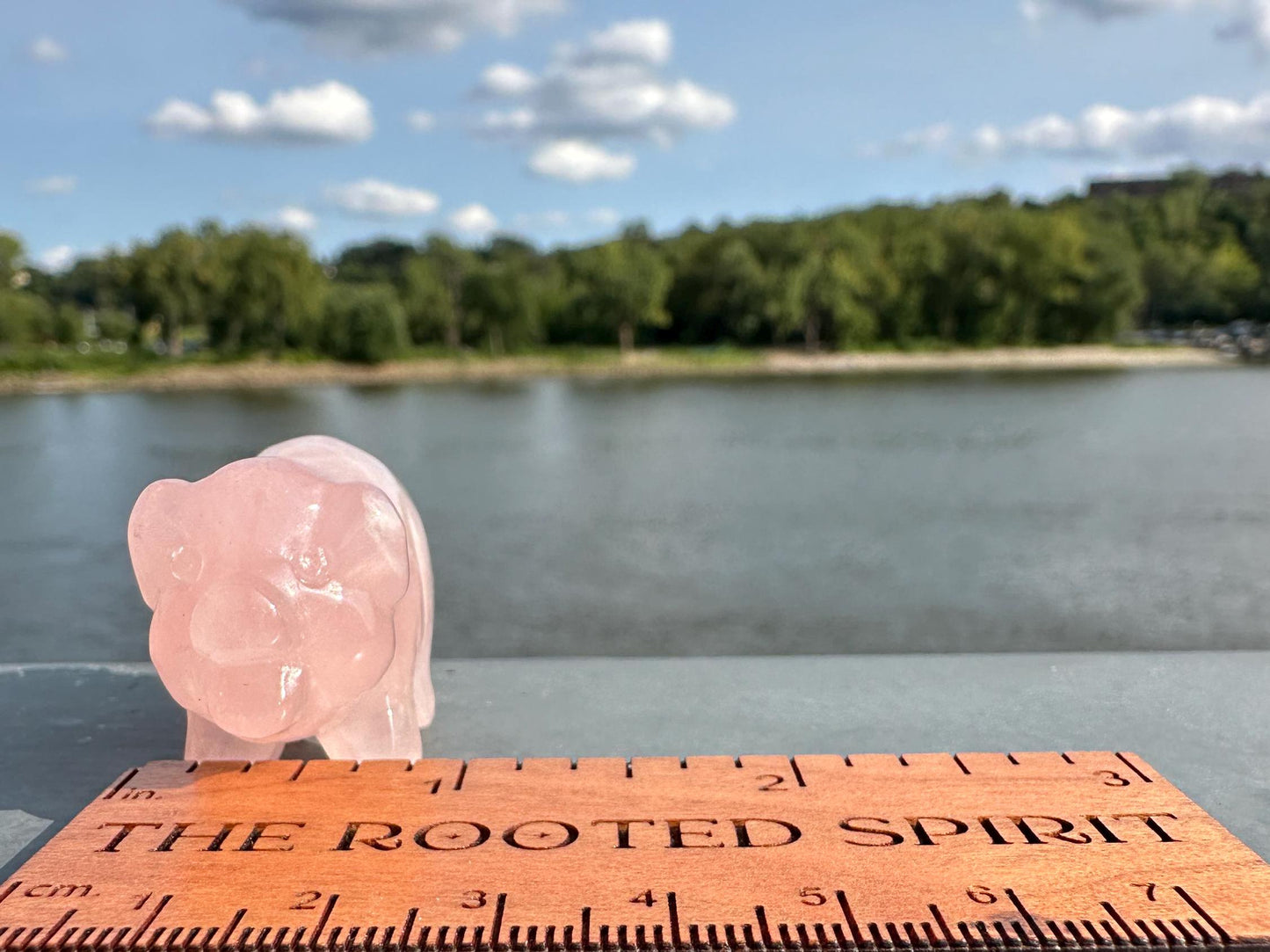 Cute Rose Quartz Small Pig Carving | Healing Crystal | Heart Chakra