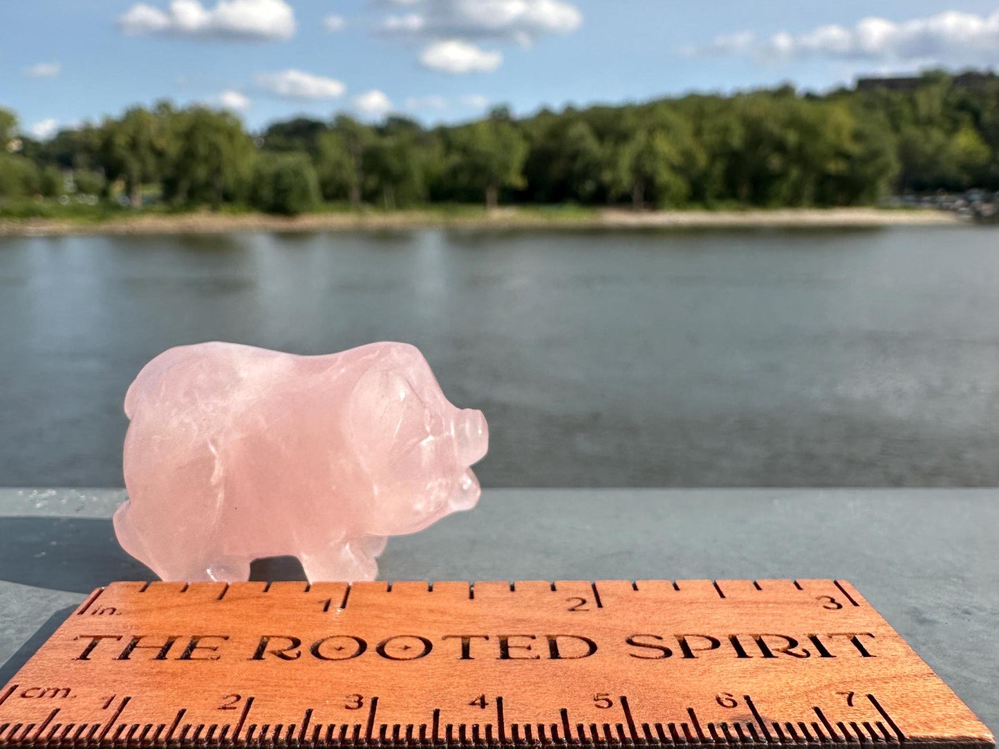 Cute Rose Quartz Small Pig Carving | Healing Crystal | Heart Chakra