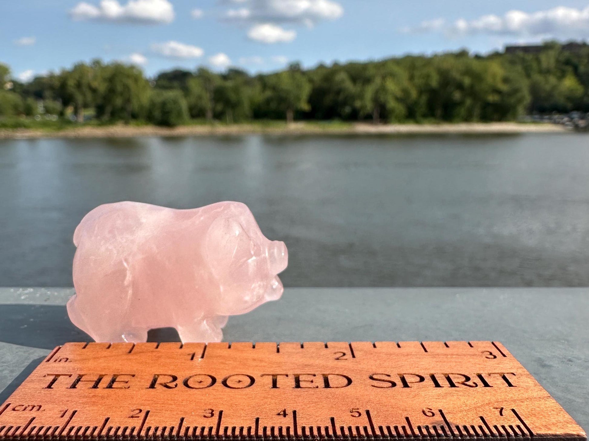 Cute Rose Quartz Small Pig Carving | Healing Crystal | Heart Chakra