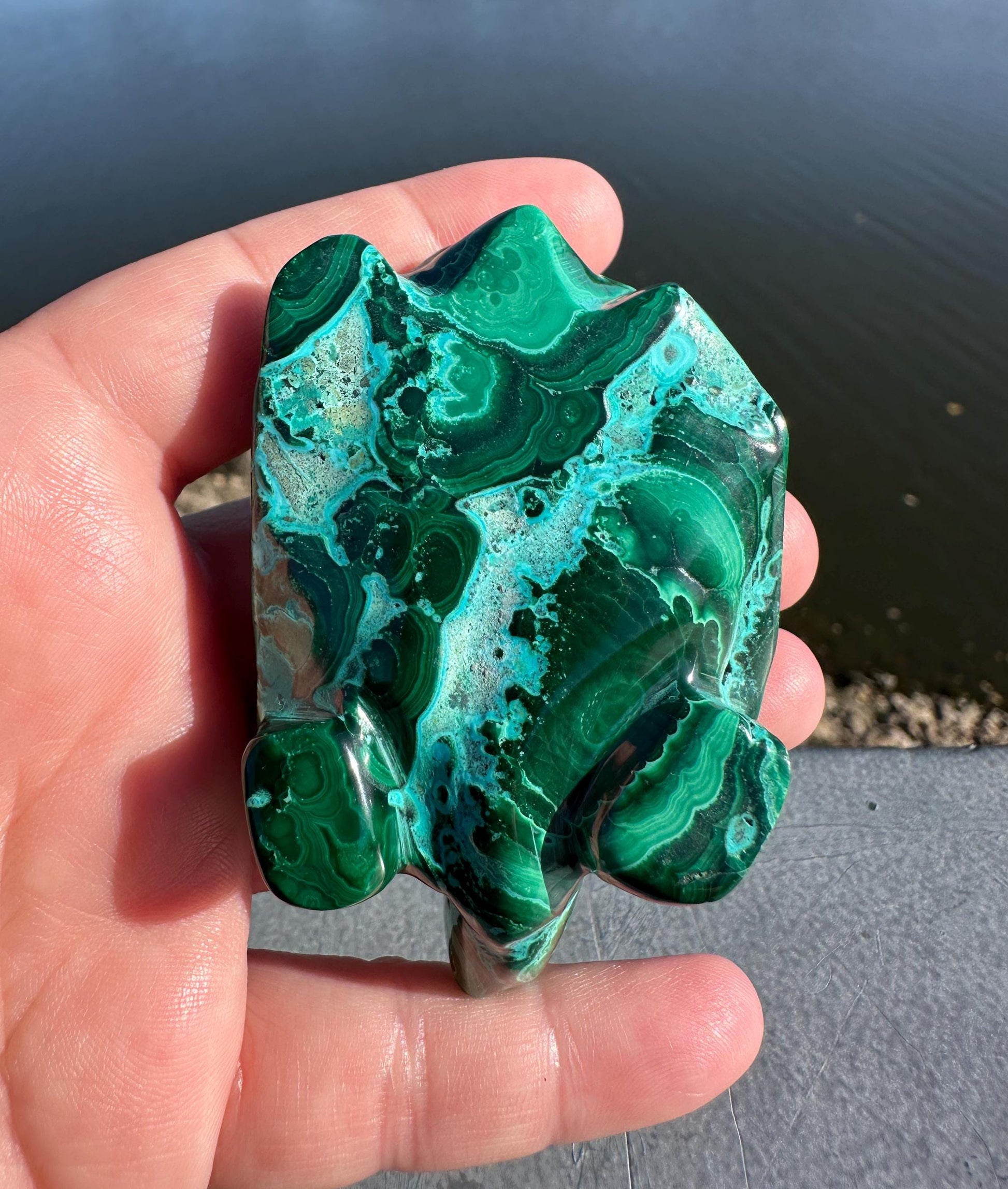 Stunning Malachite Chrysocolla Frog Animal Carving | Manifestation | Transformation | Love | Protection | Abundance | Altar | Meditation