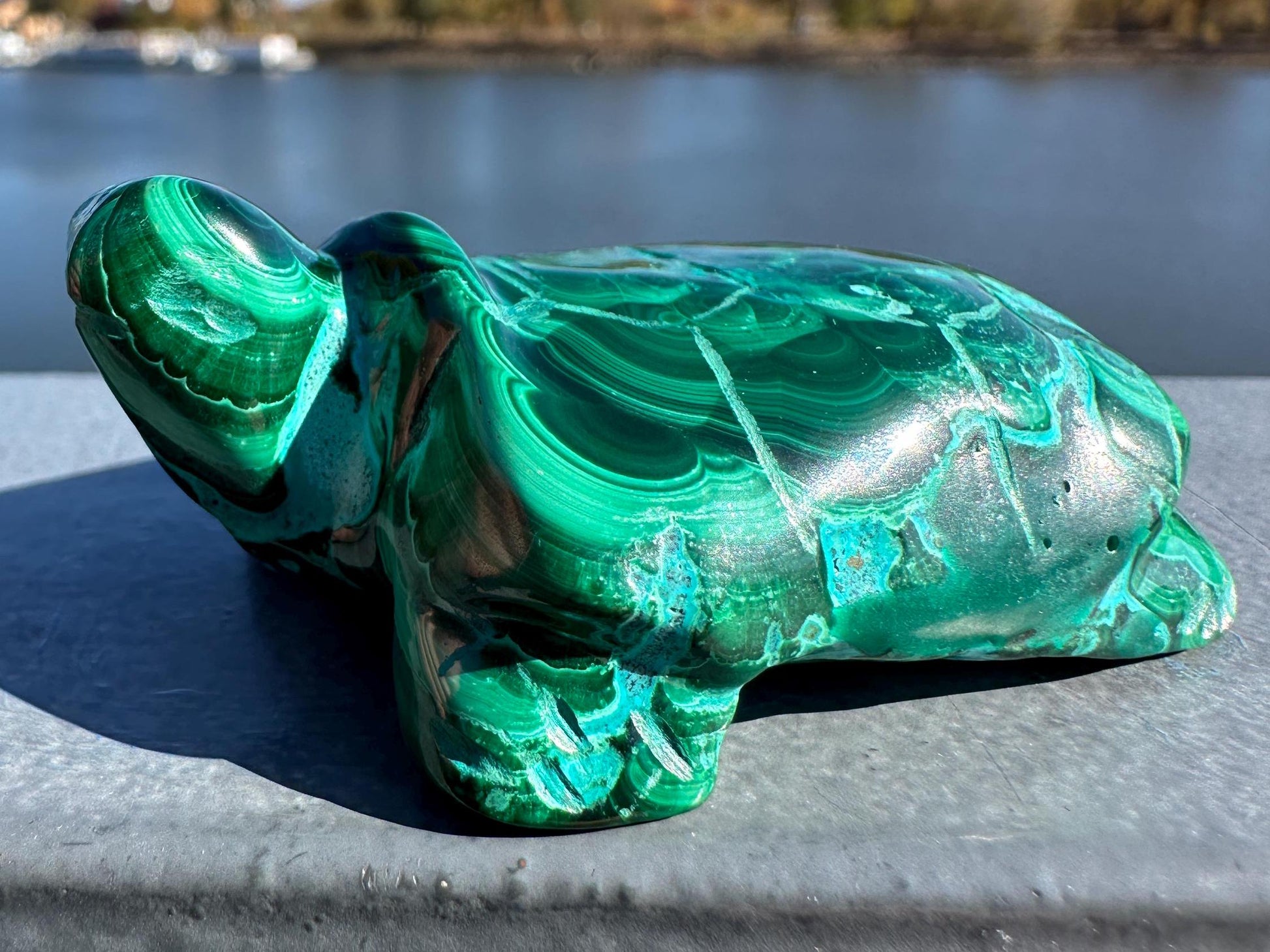 Stunning Malachite Chrysocolla Frog Animal Carving | Manifestation | Transformation | Love | Protection | Abundance | Altar | Meditation