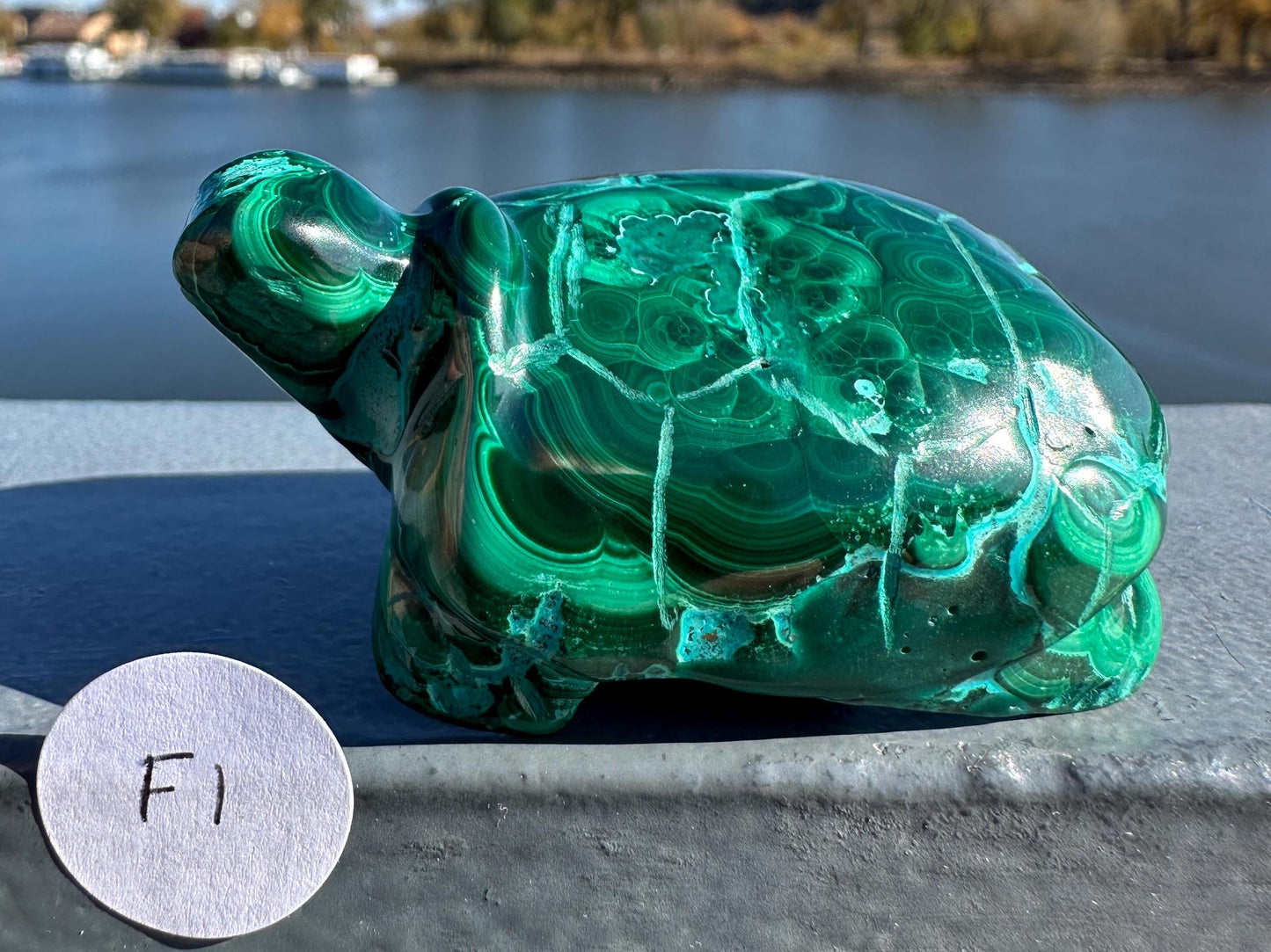 Stunning Malachite Chrysocolla Frog Animal Carving | Manifestation | Transformation | Love | Protection | Abundance | Altar | Meditation
