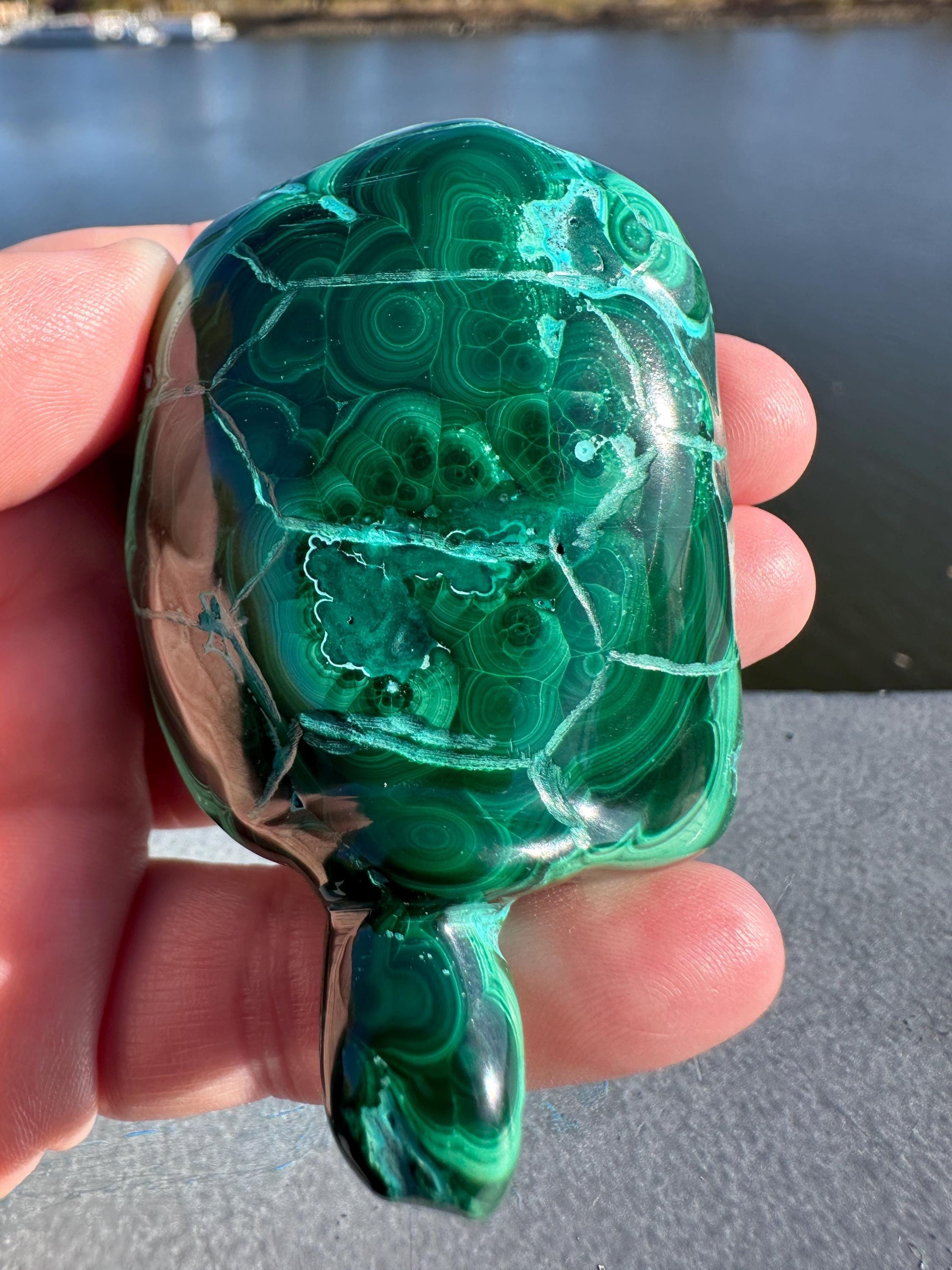Stunning Malachite Chrysocolla Frog Animal Carving | Manifestation | Transformation | Love | Protection | Abundance | Altar | Meditation