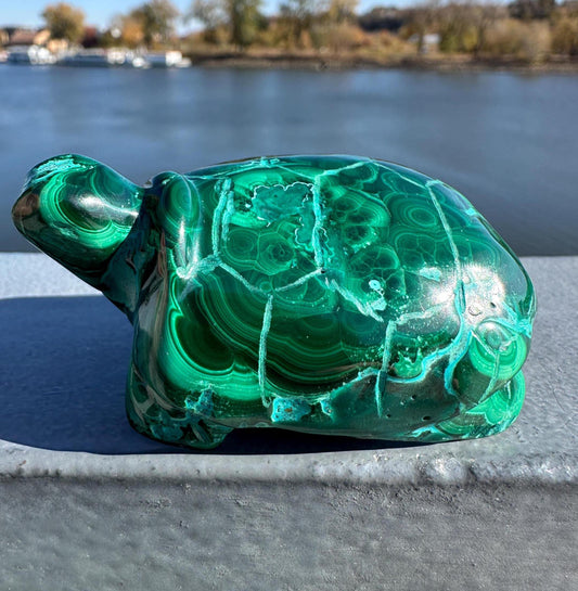 Stunning Malachite Chrysocolla Frog Animal Carving | Manifestation | Transformation | Love | Protection | Abundance | Altar | Meditation