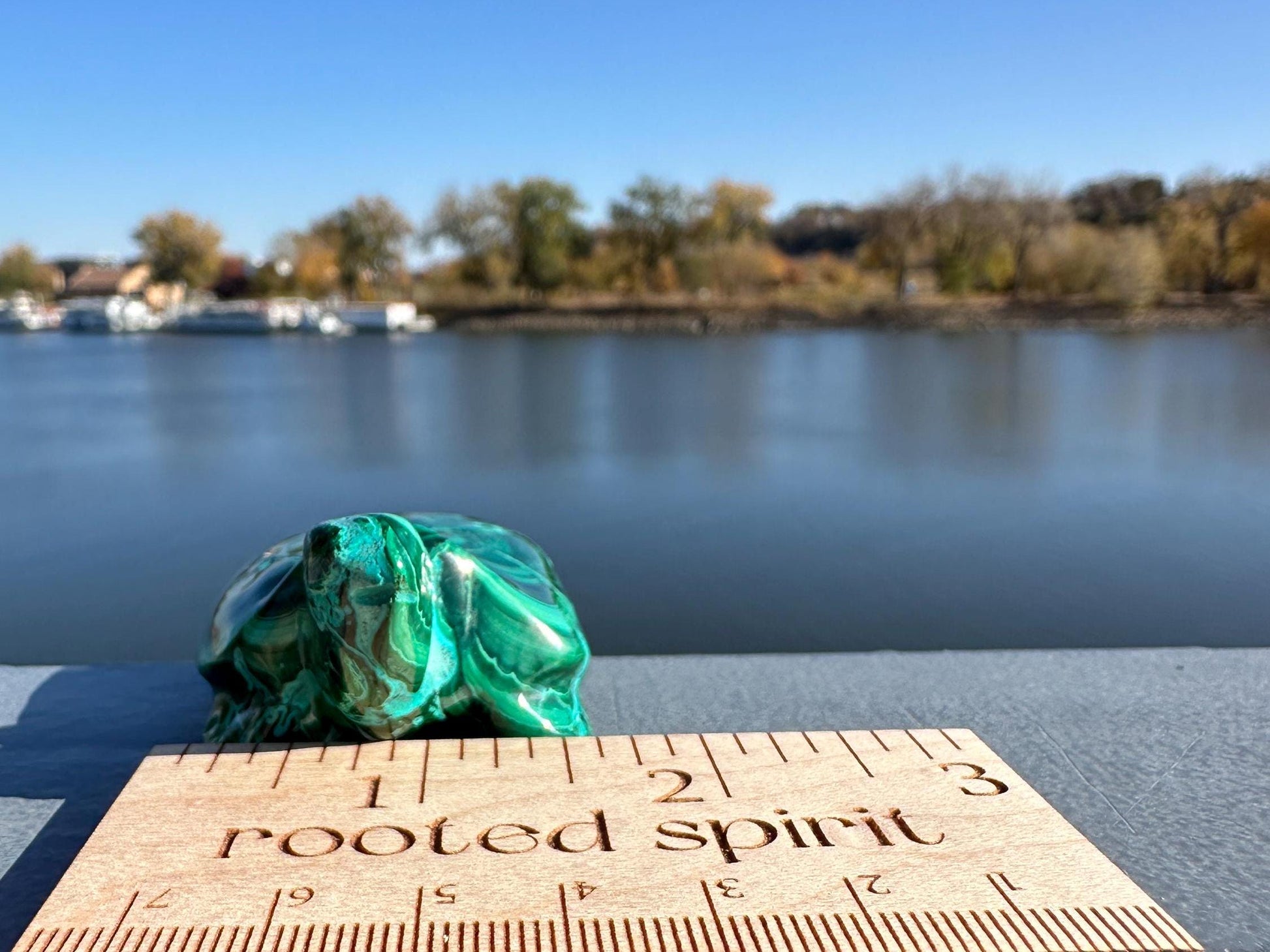 Stunning Malachite Chrysocolla Frog Animal Carving | Manifestation | Transformation | Love | Protection | Abundance | Altar | Meditation