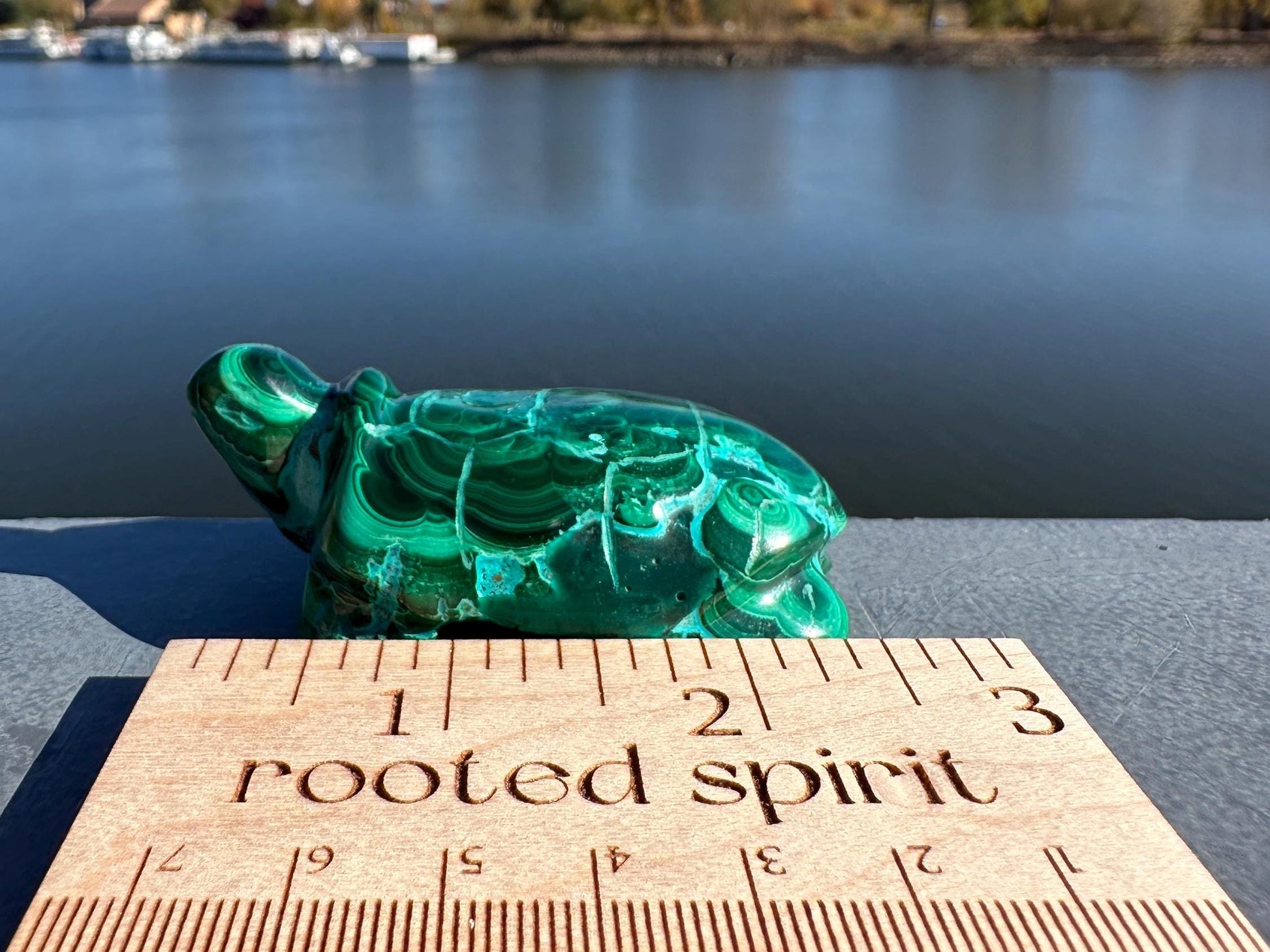 Stunning Malachite Chrysocolla Frog Animal Carving | Manifestation | Transformation | Love | Protection | Abundance | Altar | Meditation