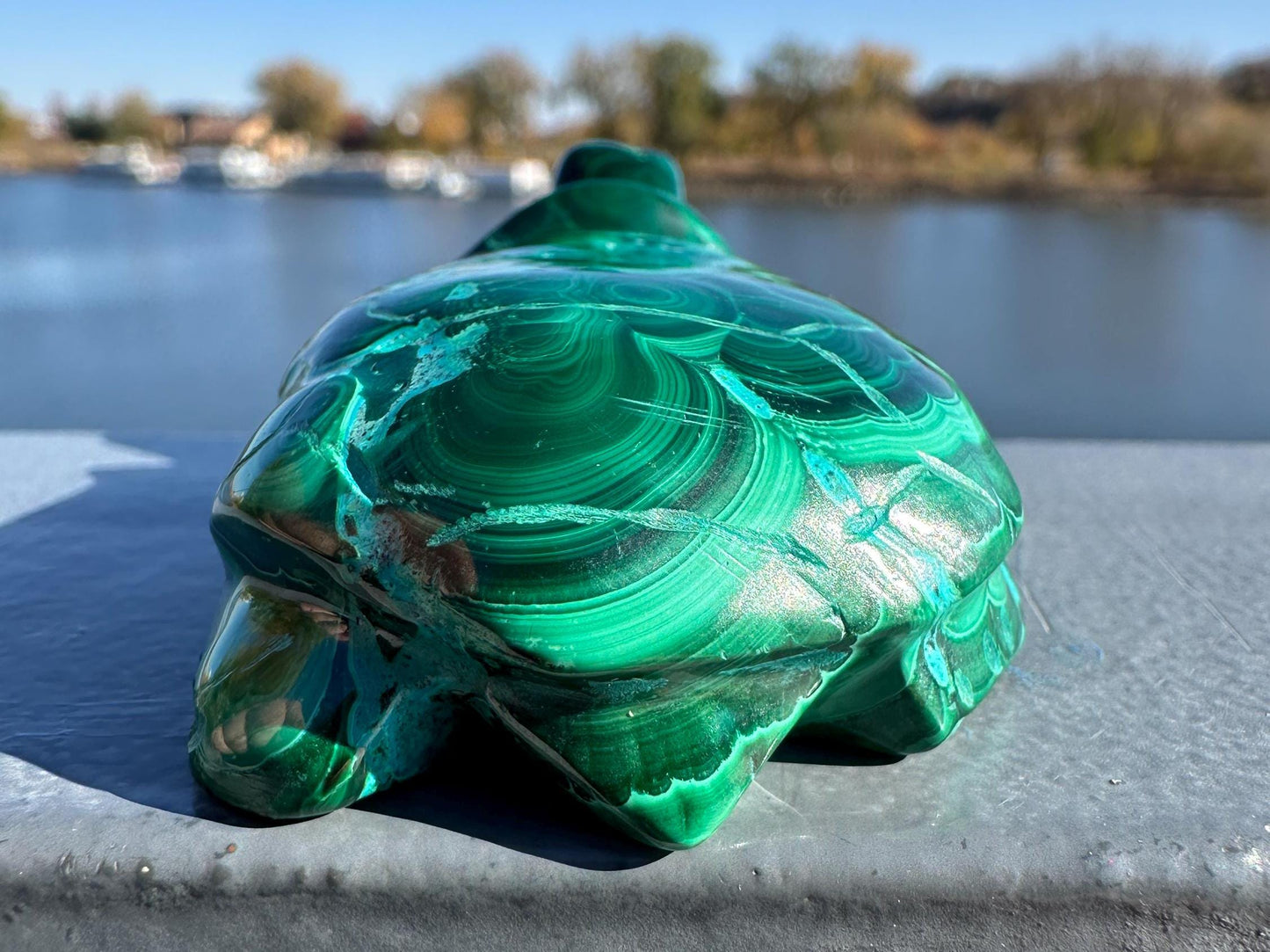 Stunning Malachite Chrysocolla Frog Animal Carving | Manifestation | Transformation | Love | Protection | Abundance | Altar | Meditation