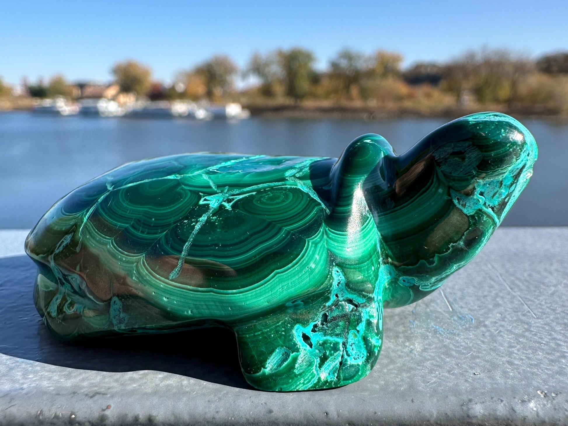 Stunning Malachite Chrysocolla Frog Animal Carving | Manifestation | Transformation | Love | Protection | Abundance | Altar | Meditation
