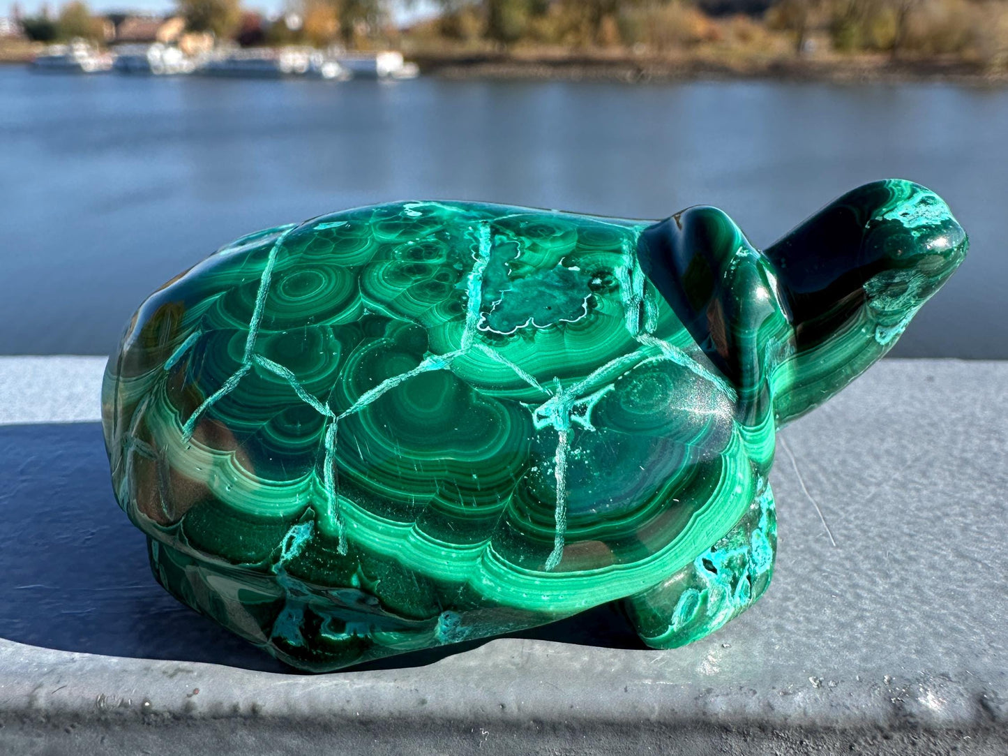 Stunning Malachite Chrysocolla Frog Animal Carving | Manifestation | Transformation | Love | Protection | Abundance | Altar | Meditation