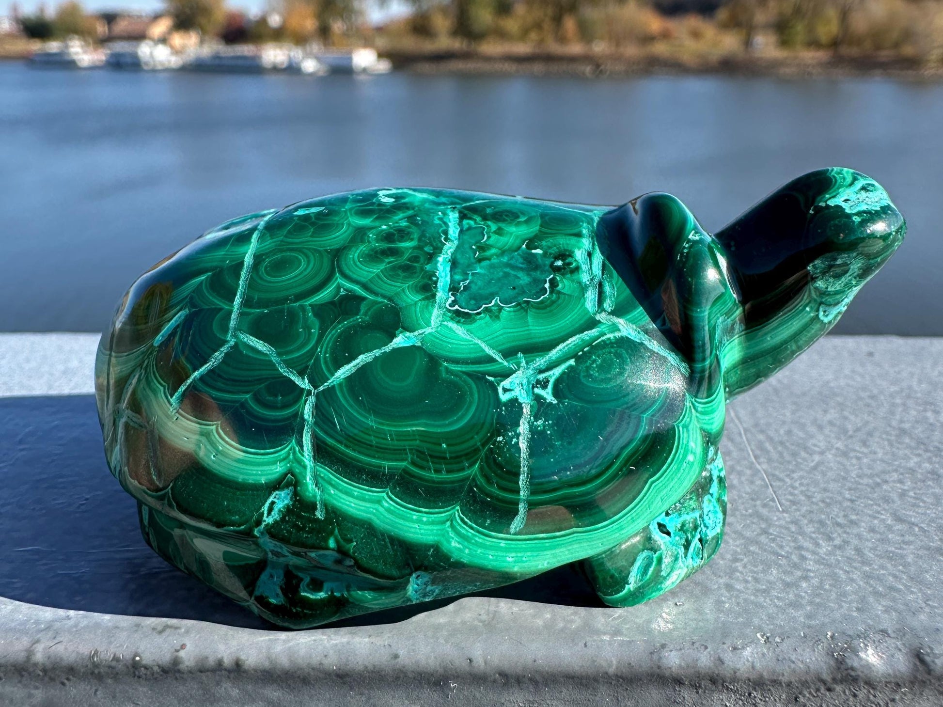 Stunning Malachite Chrysocolla Frog Animal Carving | Manifestation | Transformation | Love | Protection | Abundance | Altar | Meditation