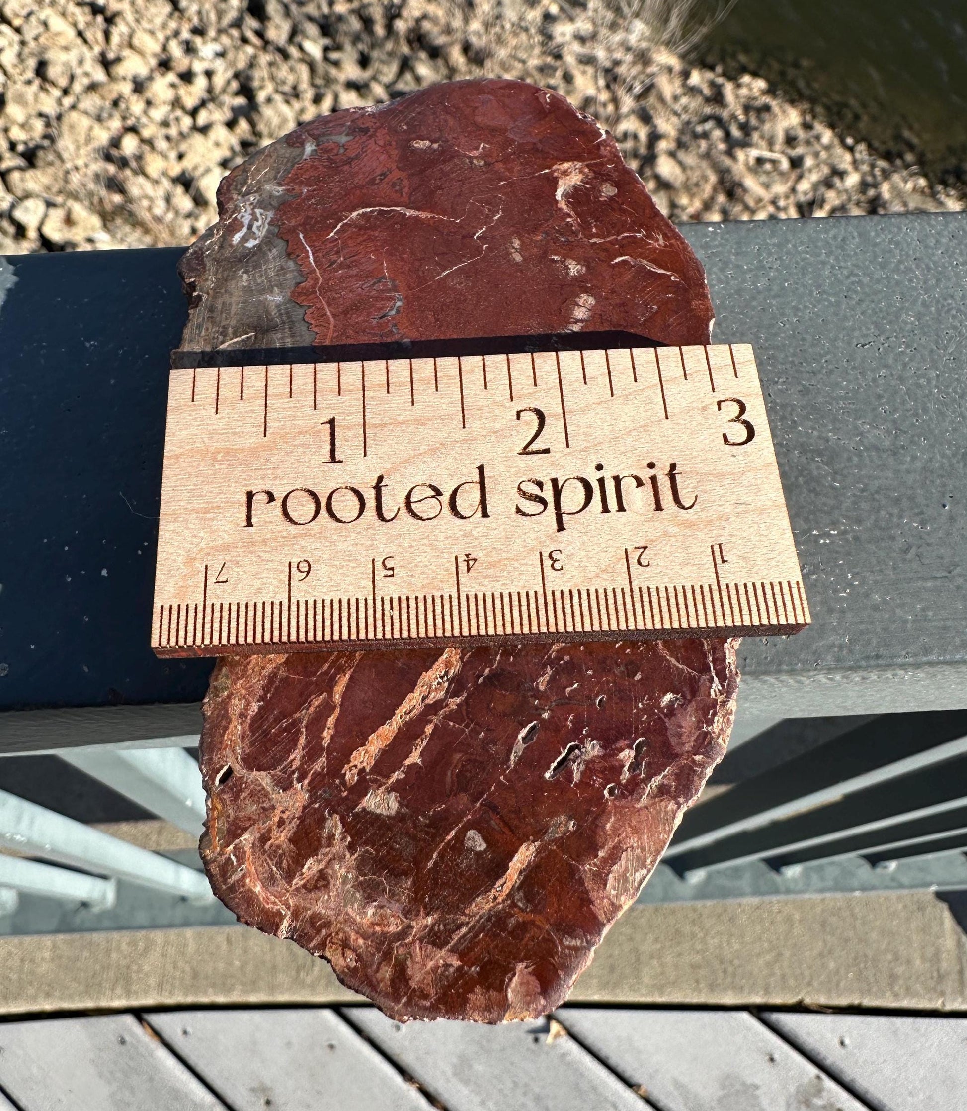 Natural Petrified Wood Polished Slab | Metaphysical Crystal Decor