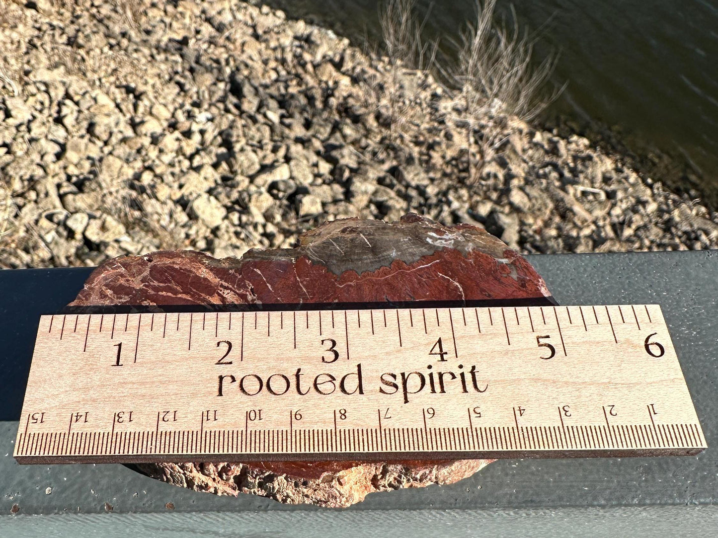 Natural Petrified Wood Polished Slab | Metaphysical Crystal Decor