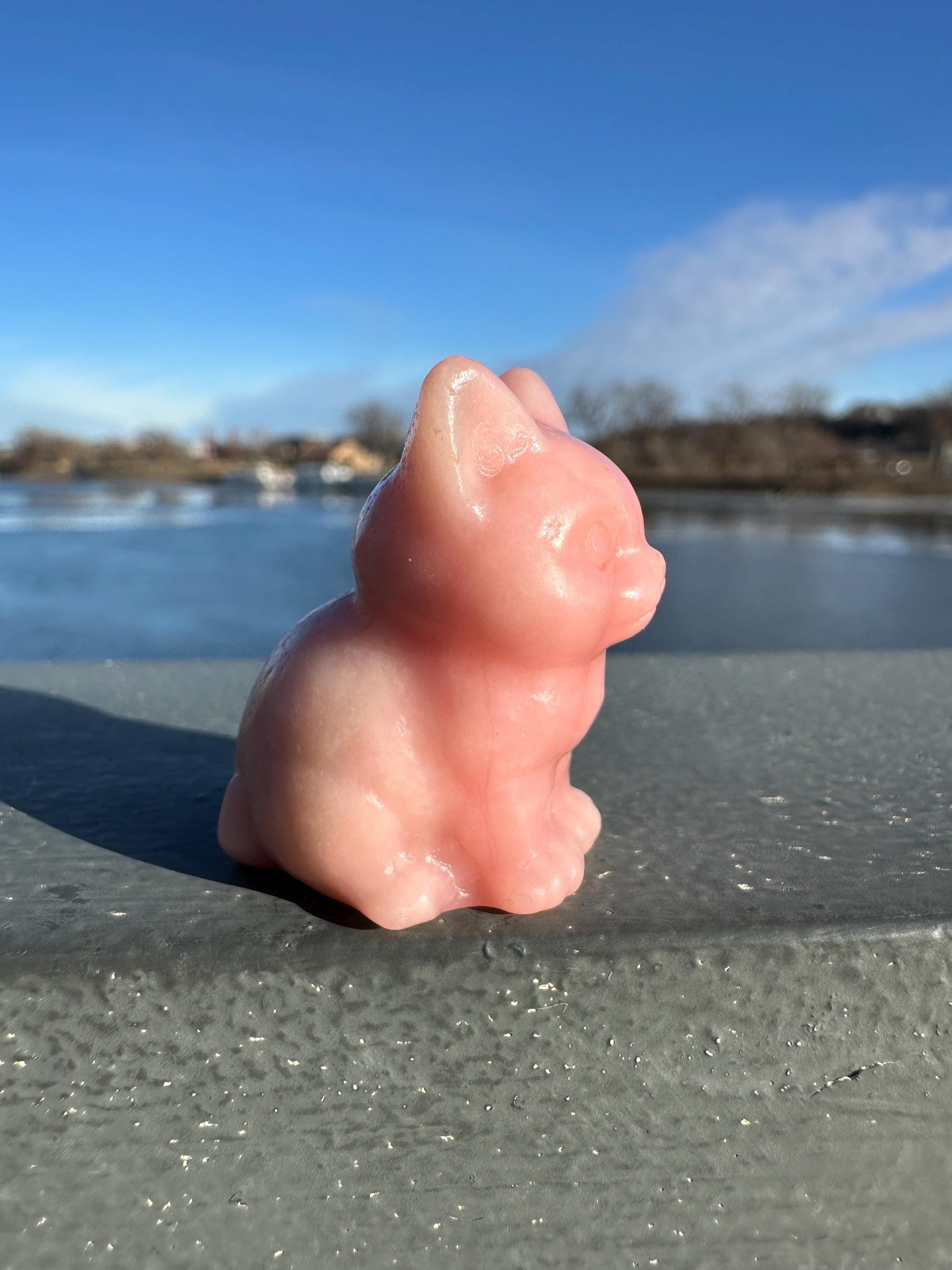 Gorgeous High Grade Pink Opal Cat Carving