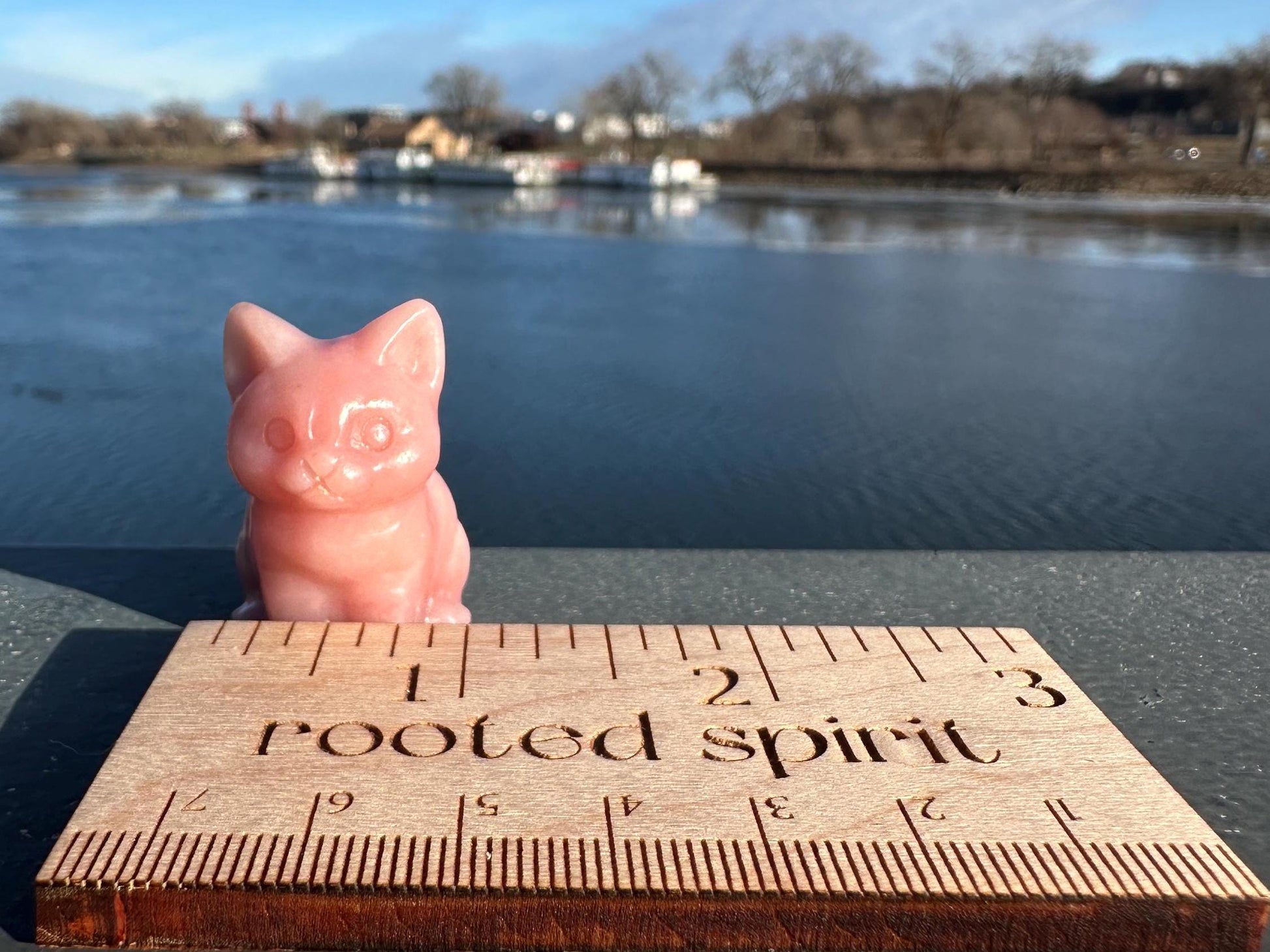 Gorgeous High Grade Pink Opal Cat Carving