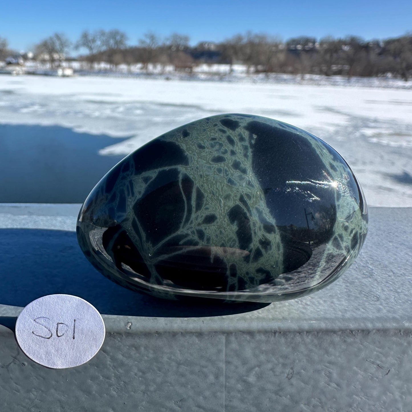 Spider Web Obsidian Palm Stone from Mexico
