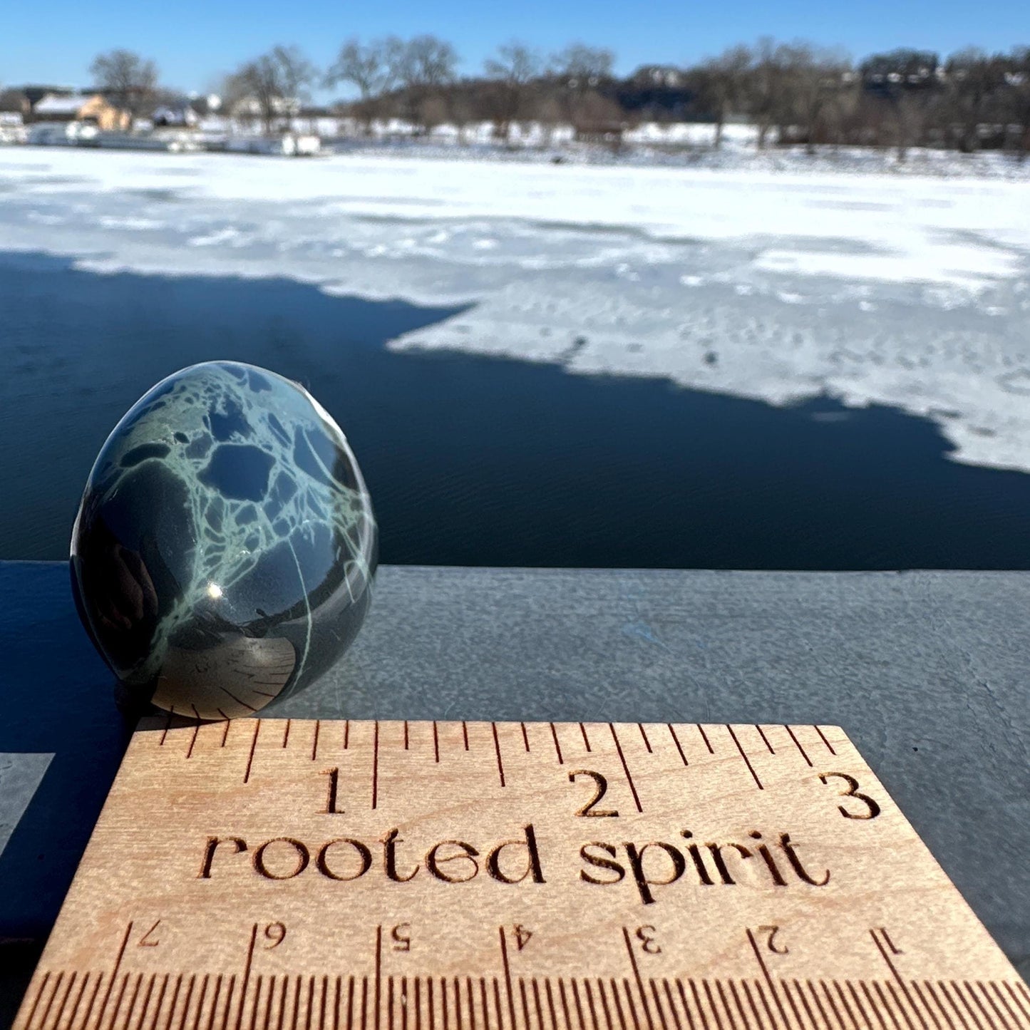 Spider Web Obsidian Palm Stone from Mexico
