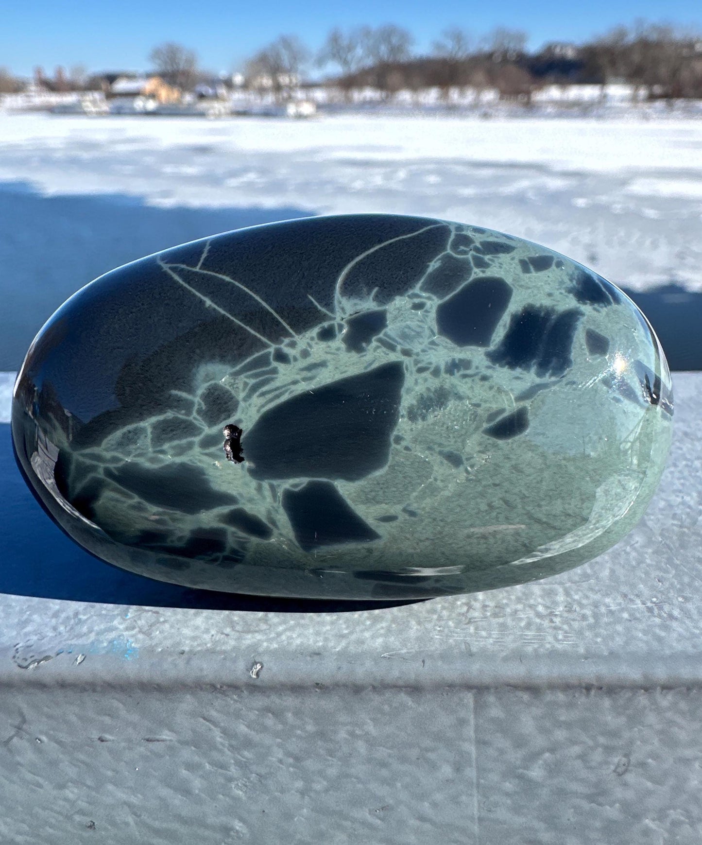 Spider Web Obsidian Palm Stone from Mexico