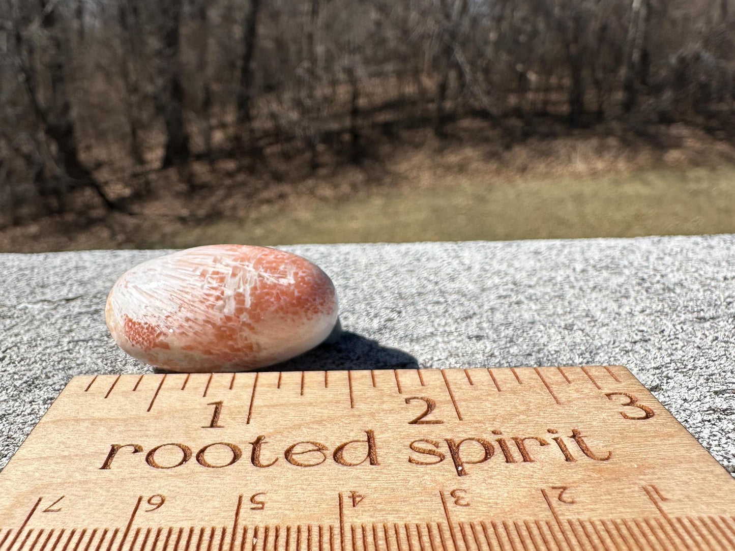 Pink Scolecite Shiva | Tucson Exclusive