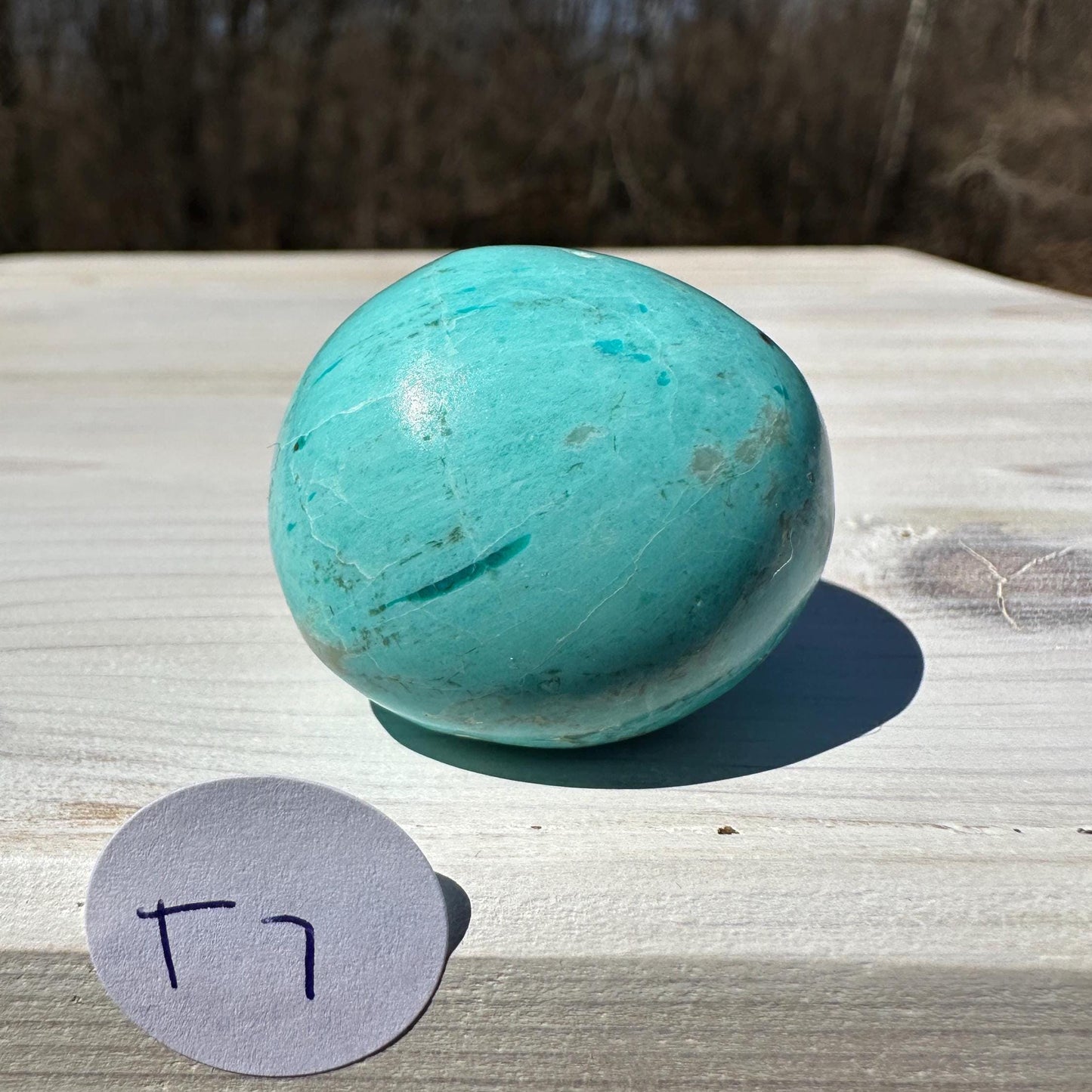 Beautiful Turquoise Palm Stones from Peru