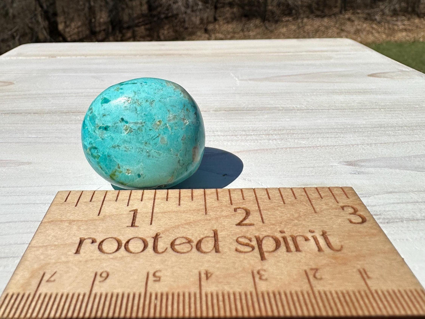 Beautiful Turquoise Palm Stones from Peru