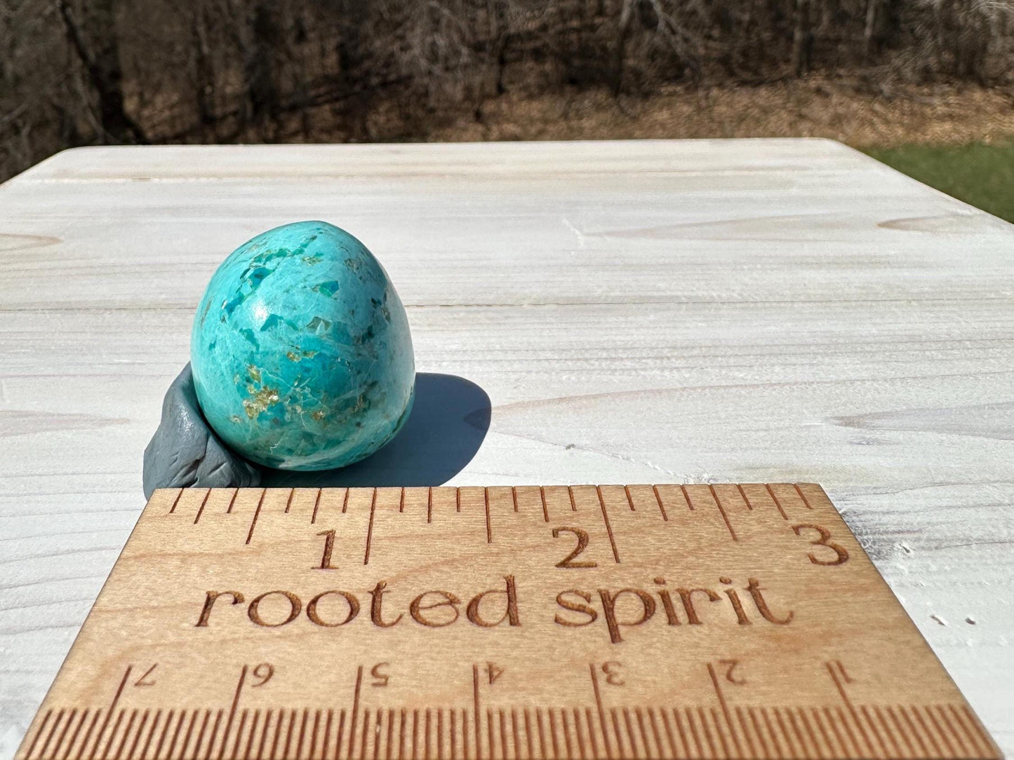 Beautiful Turquoise Palm Stones from Peru