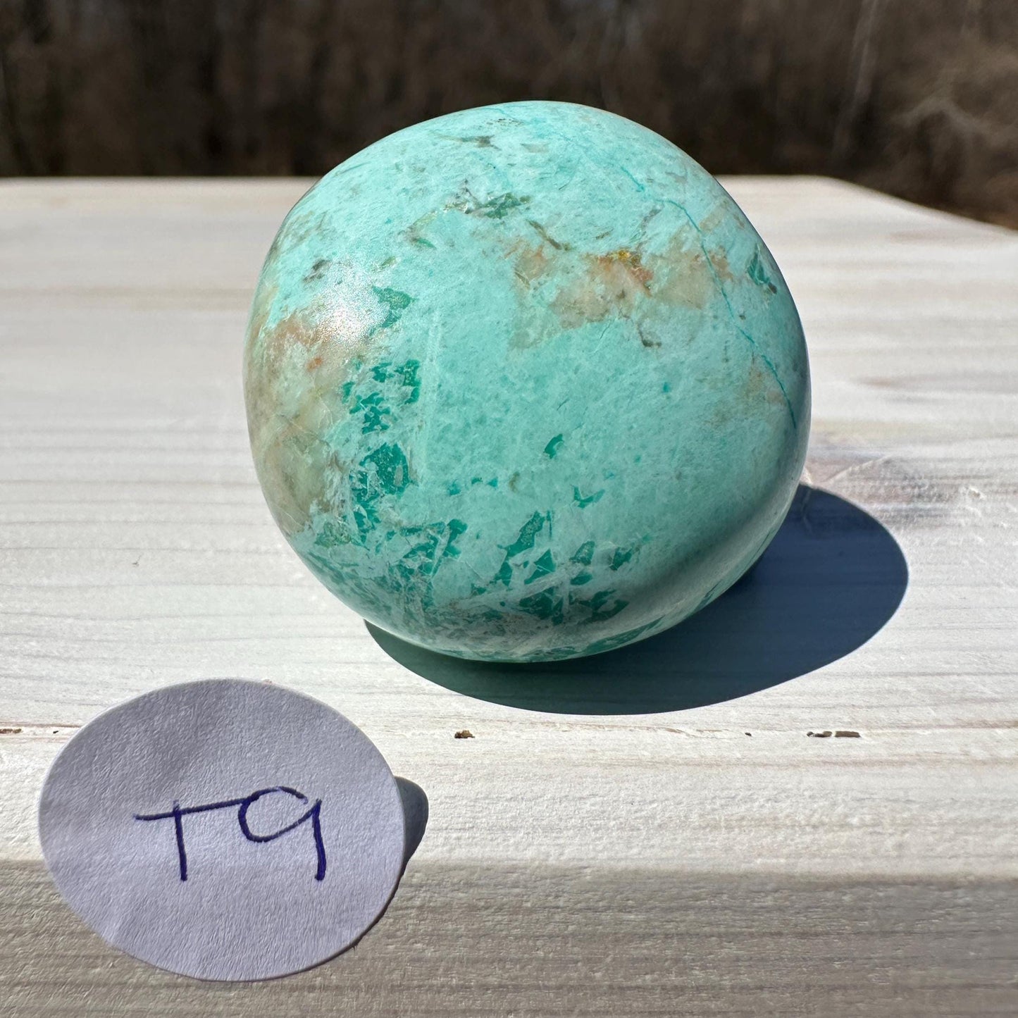 Beautiful Turquoise Palm Stones from Peru