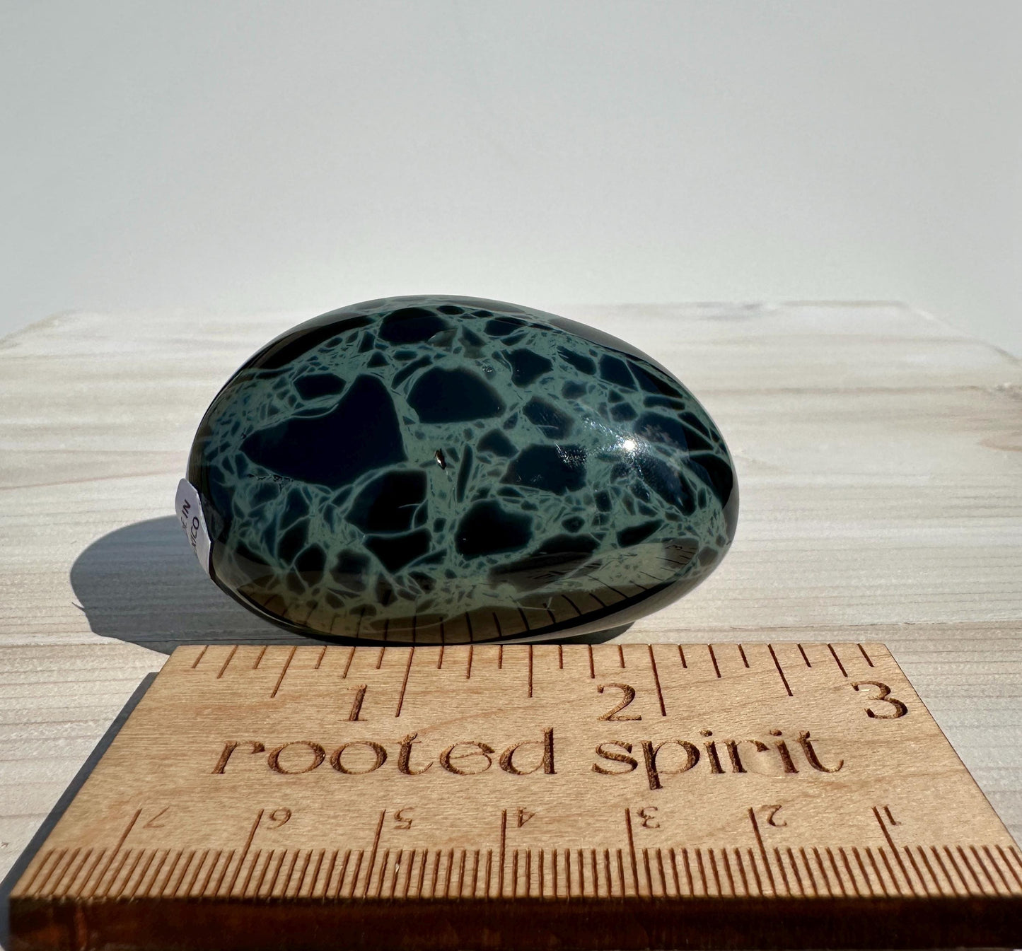 Spider Web Obsidian Palm Stone from Mexico