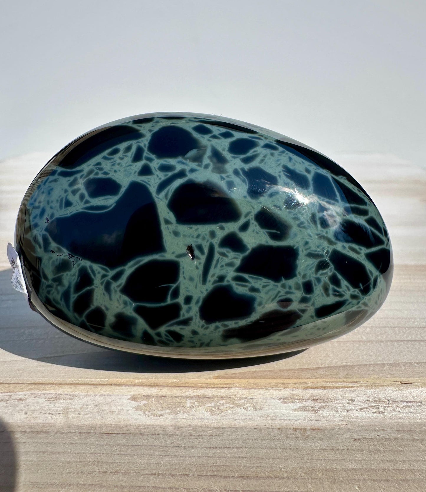 Spider Web Obsidian Palm Stone from Mexico