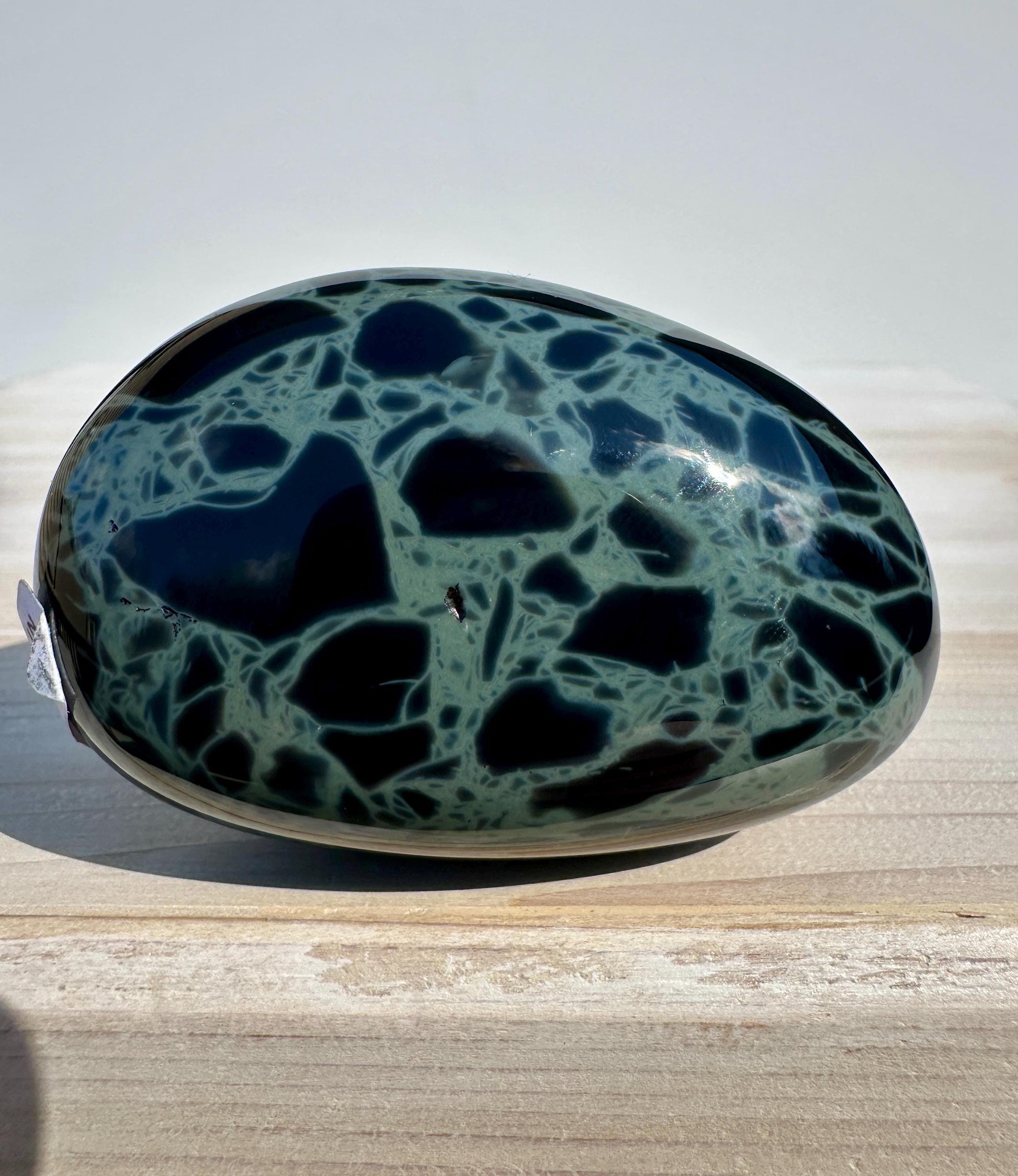 Spider Web Obsidian Palm Stone from Mexico