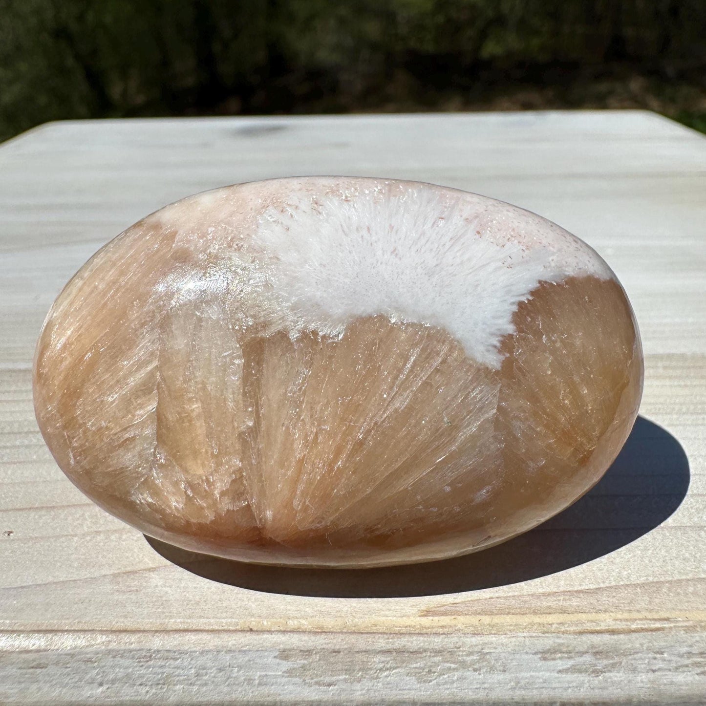 Gorgeous Polished Scolecite with Stilbite Palm Stone - #4