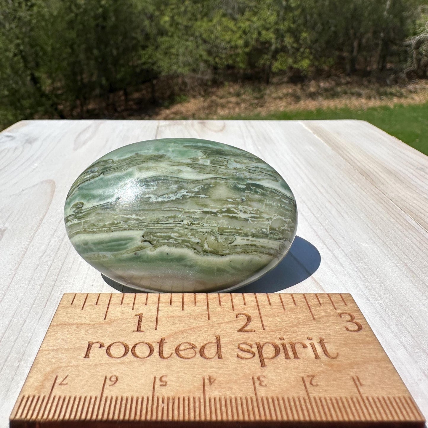 Polished Banded Serpentine Palm Stone | Infinite Stone Palm Stone - #1