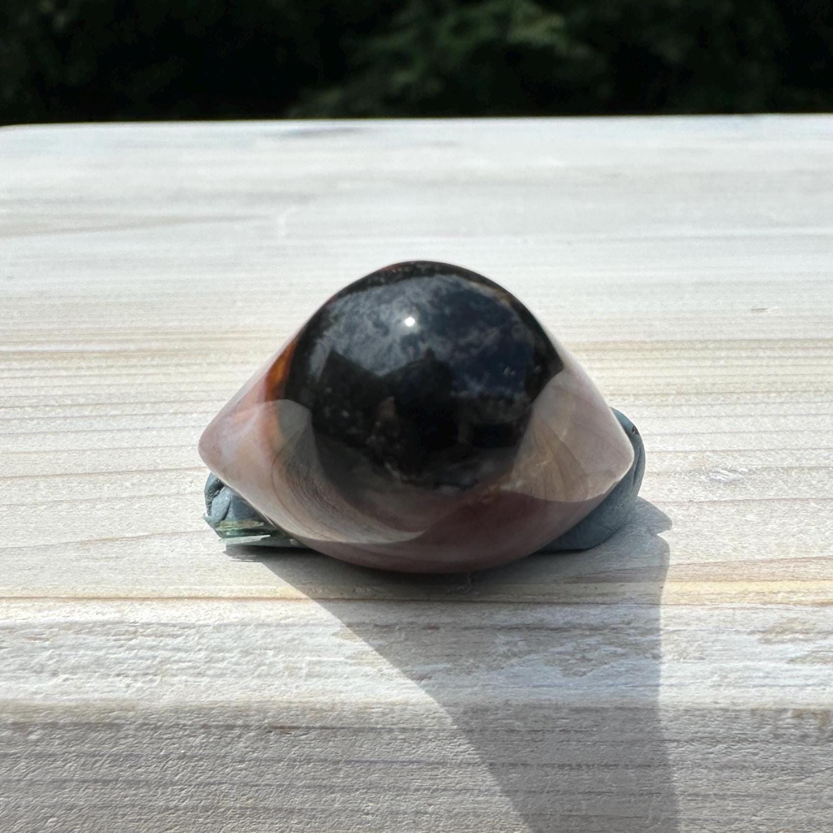 Small Shiva Agate Eye from India | Eye Of Shiva Crystals | Third Eye Agate Crystals | Gems & Minerals | Crystal Collector Home Decor - #17