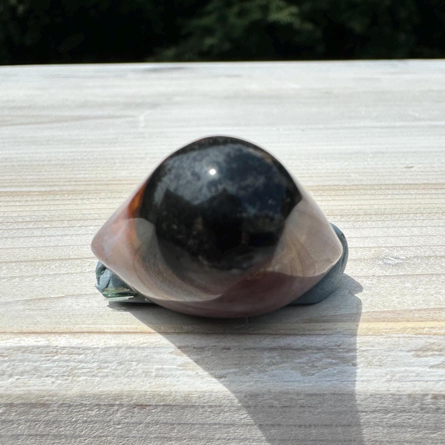 Small Shiva Agate Eye from India | Eye Of Shiva Crystals | Third Eye Agate Crystals | Gems & Minerals | Crystal Collector Home Decor - #17