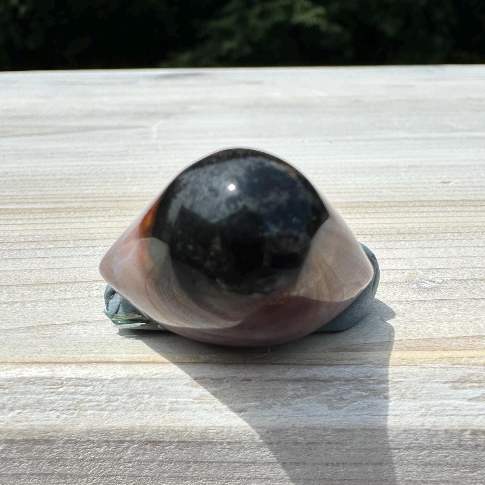 Small Shiva Agate Eye from India | Eye Of Shiva Crystals | Third Eye Agate Crystals | Gems & Minerals | Crystal Collector Home Decor - #17