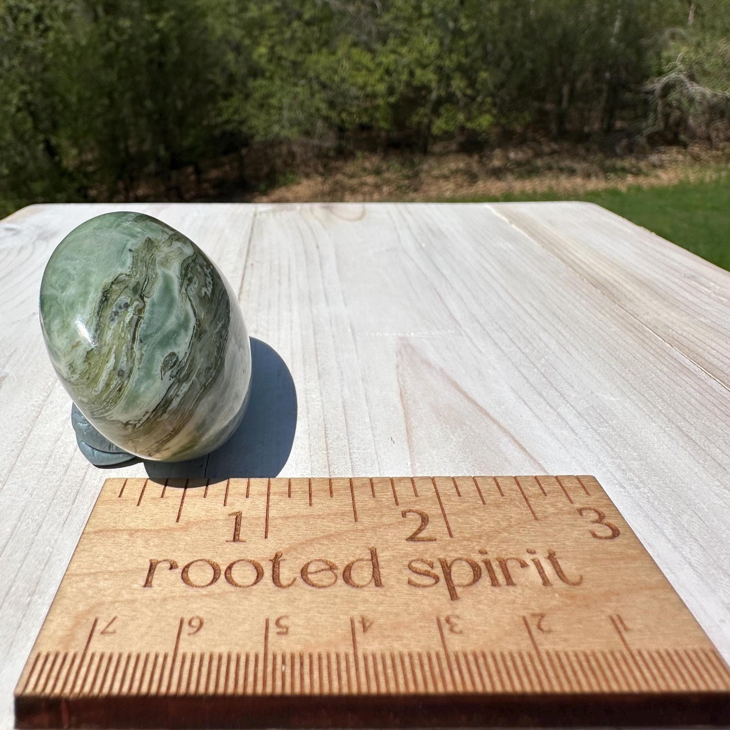 Polished Banded Serpentine Palm Stone | Infinite Stone Palm Stone - #1