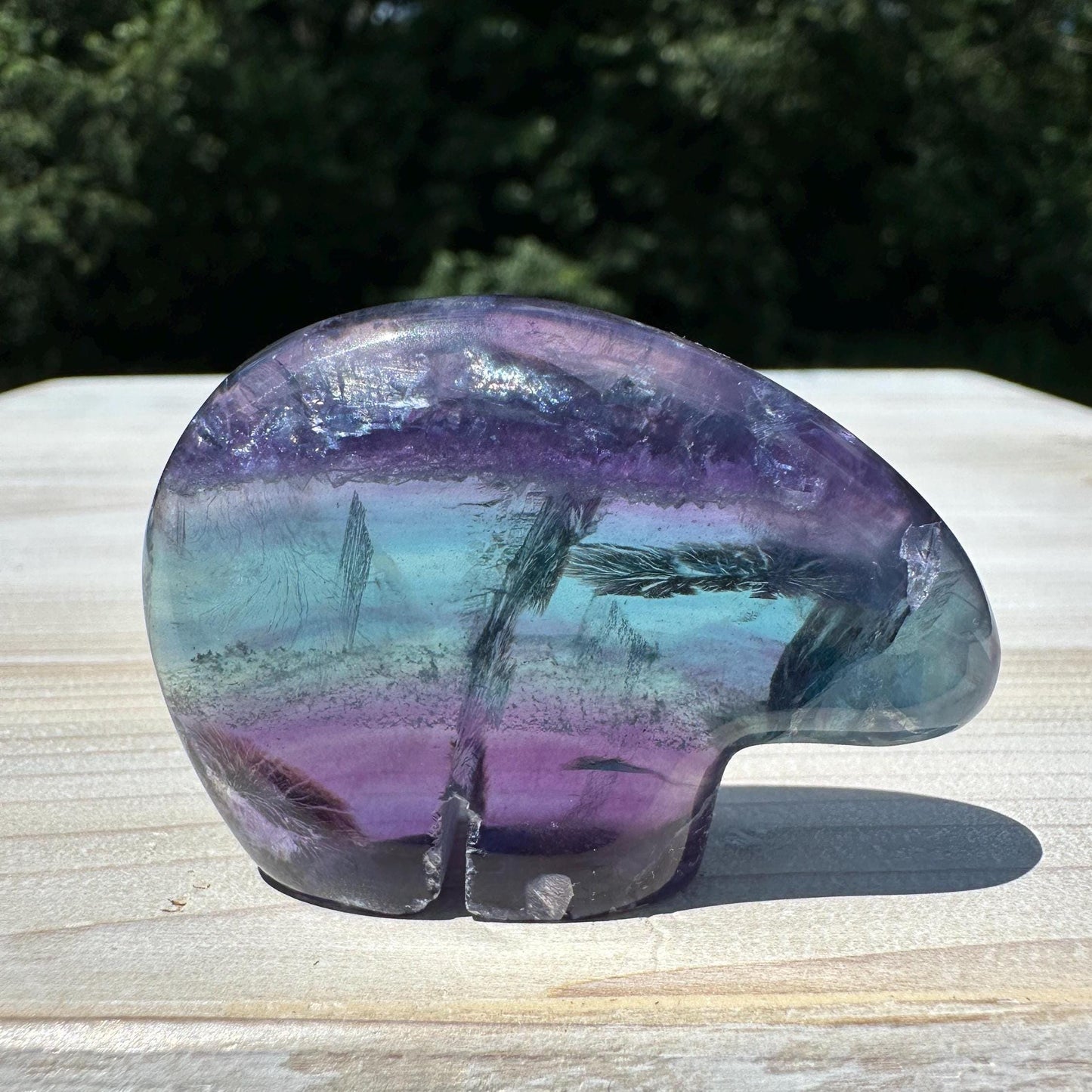 Gorgeous Mexican Fluorite Bear Carving