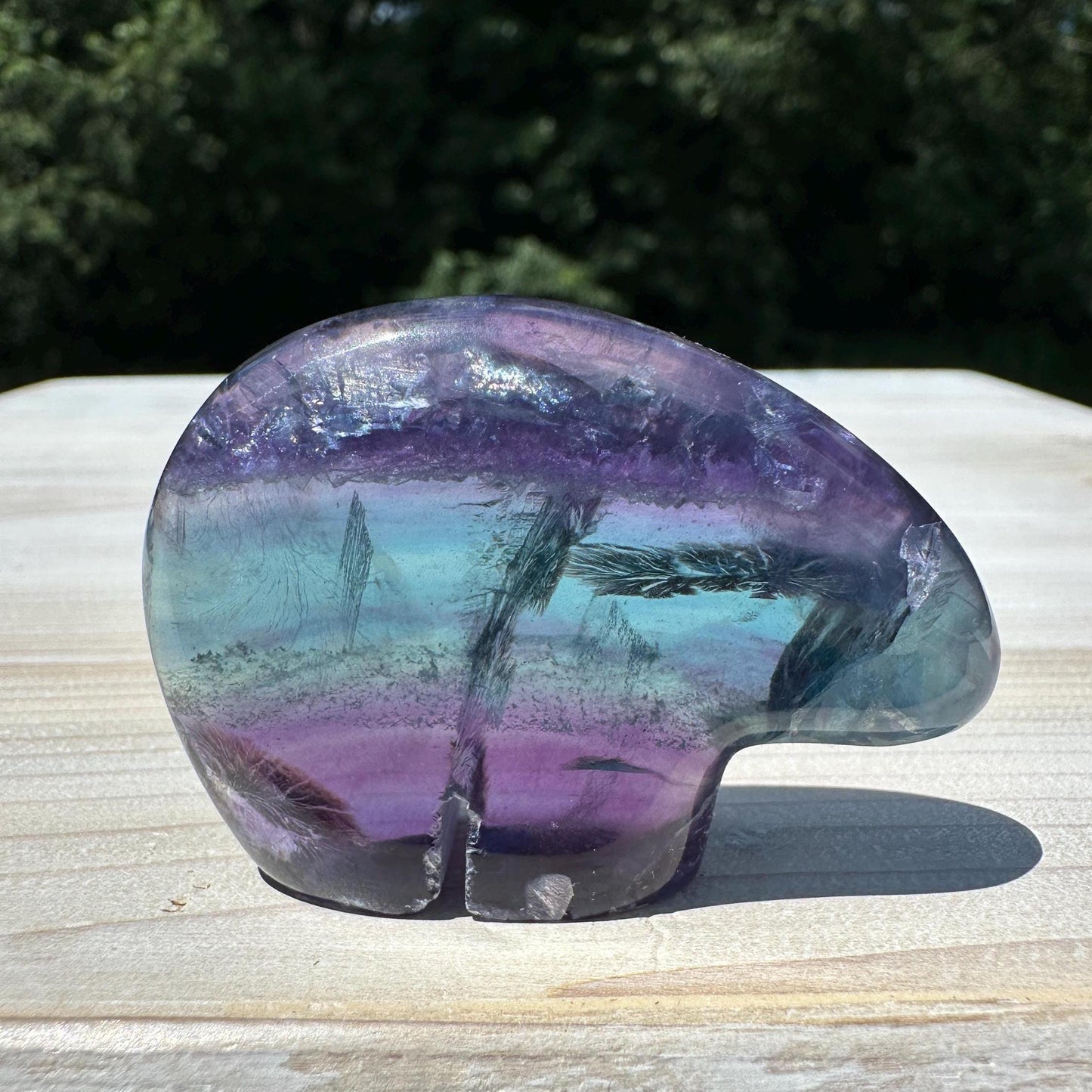 Gorgeous Mexican Fluorite Bear Carving