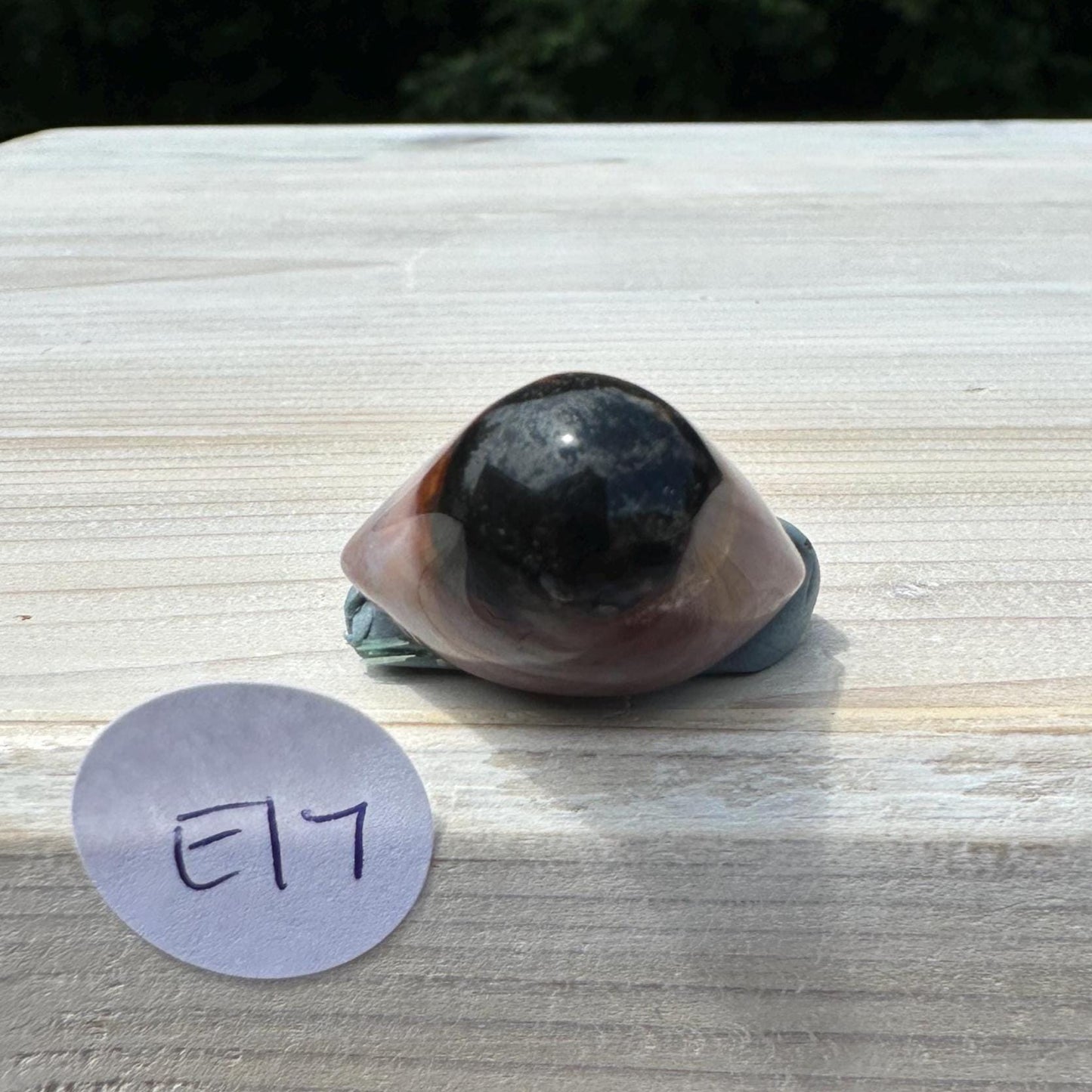 Small Shiva Agate Eye from India | Eye Of Shiva Crystals | Third Eye Agate Crystals | Gems & Minerals | Crystal Collector Home Decor - #17