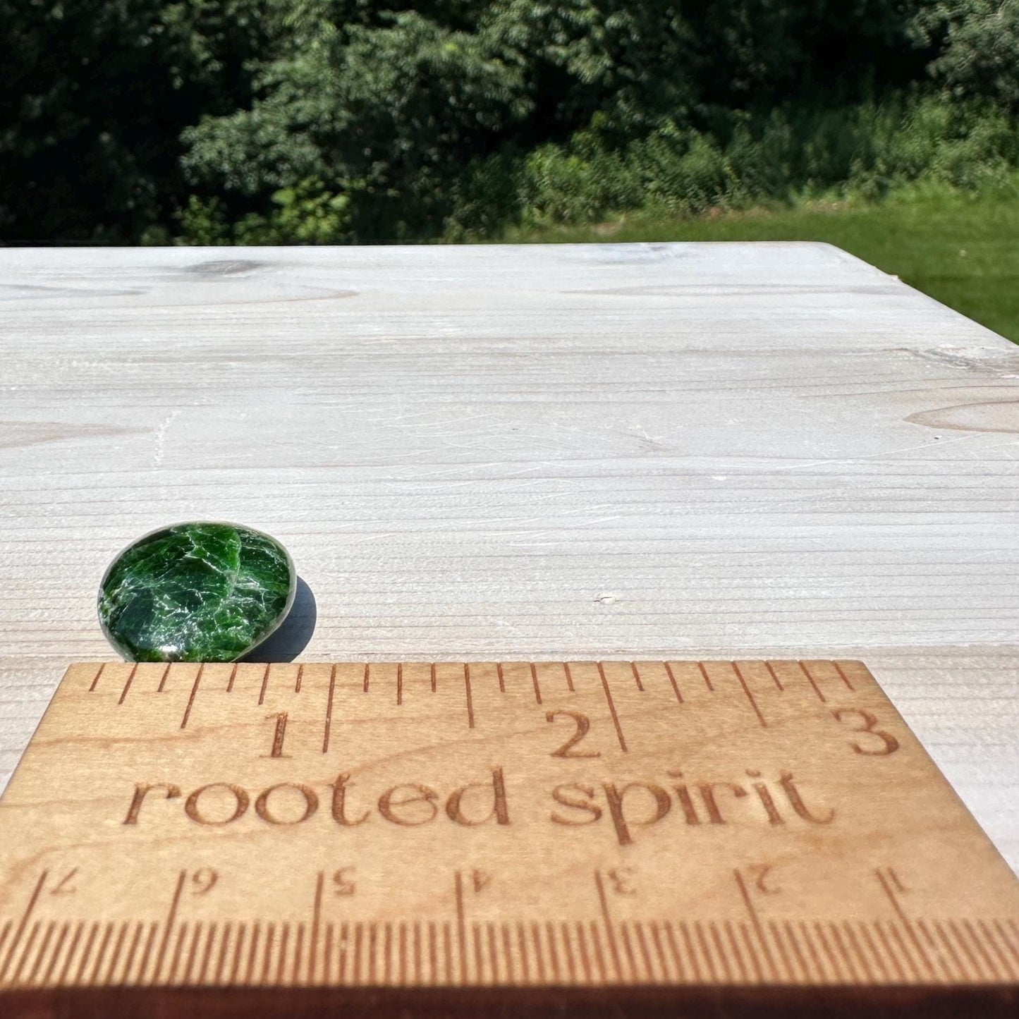 Stunning Chrome Diopside Mini Palm Stone - #1